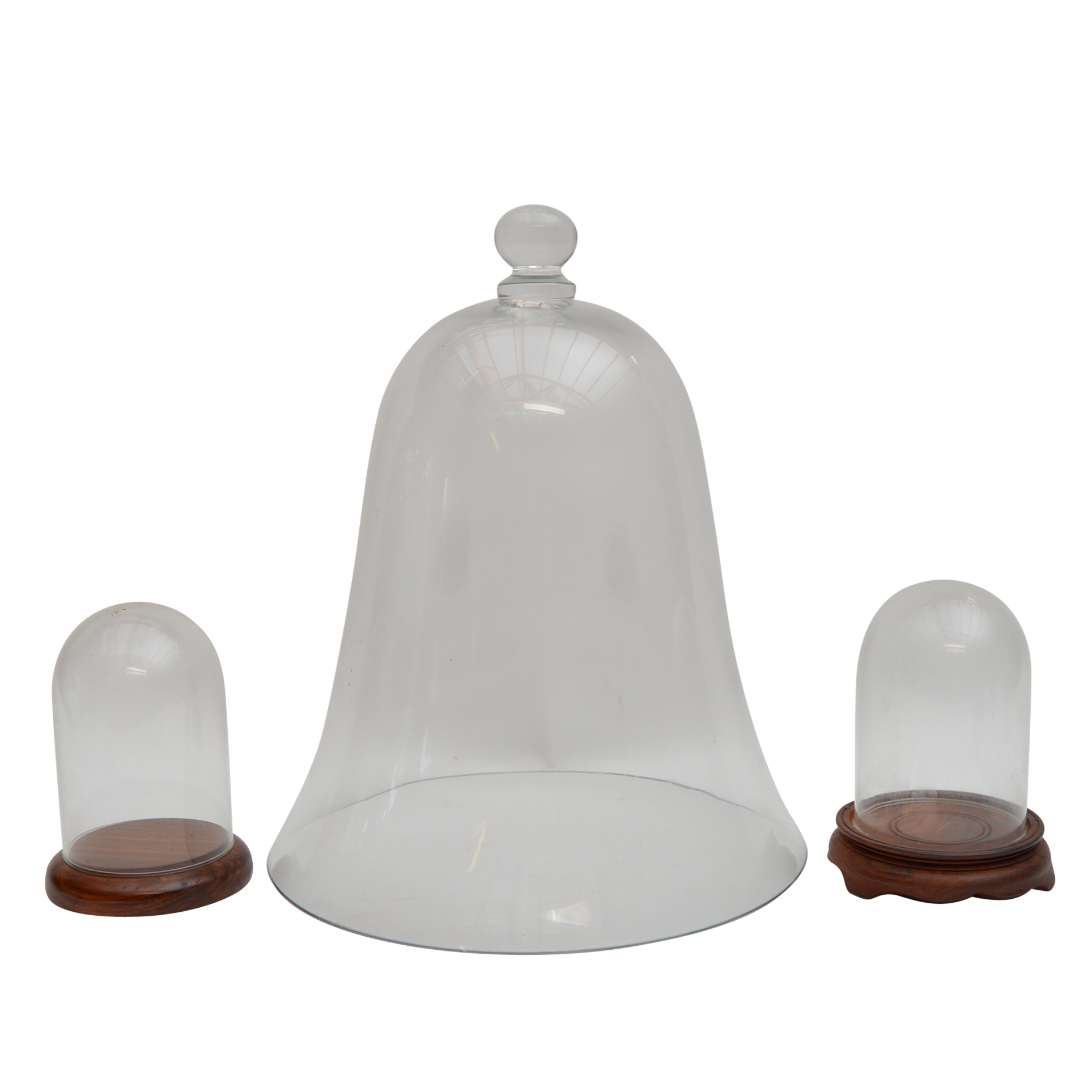 Glass Display Domes and a Cloche, Two with Wood Bases