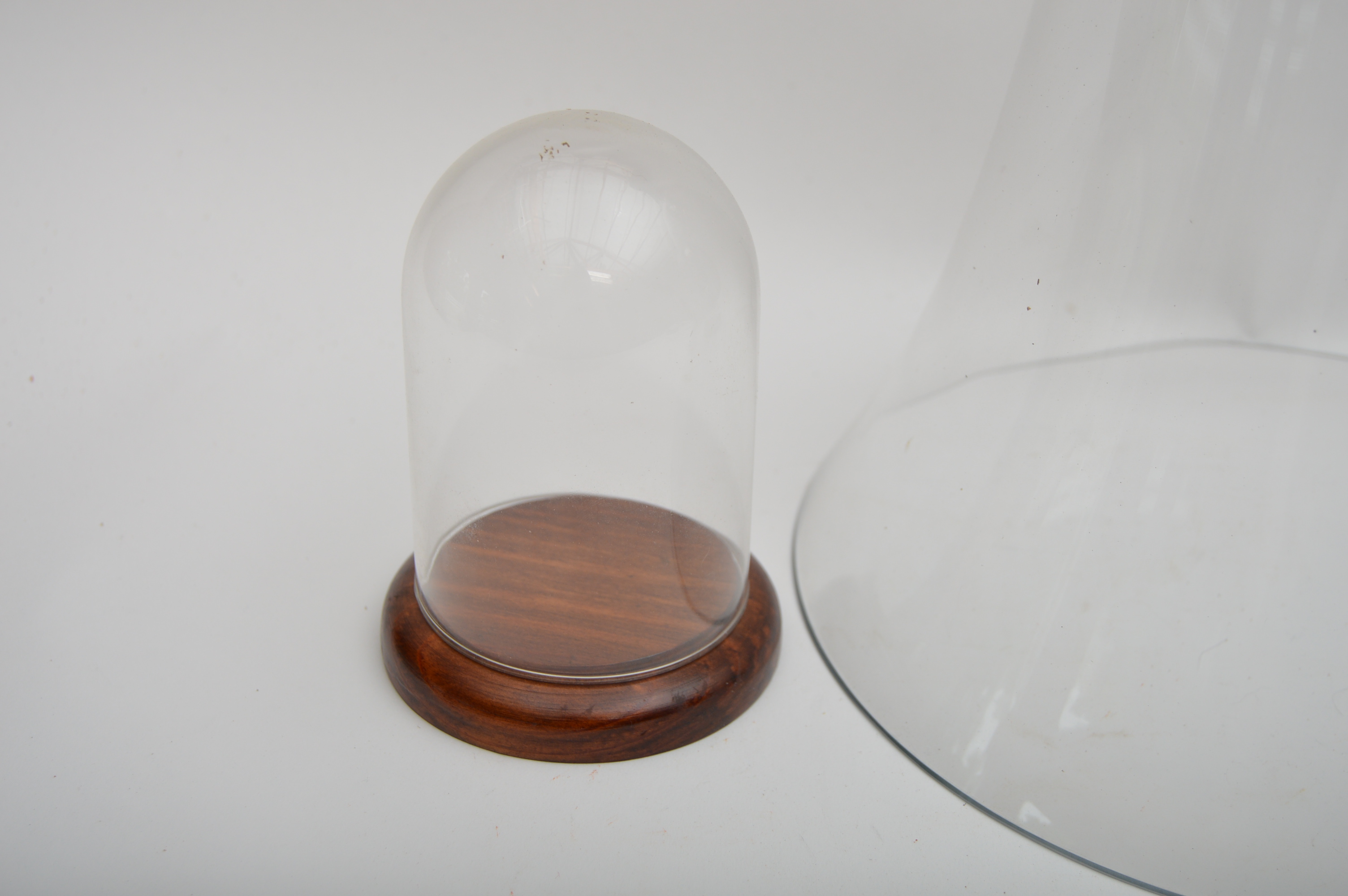 Glass Display Domes and a Cloche, Two with Wood Bases