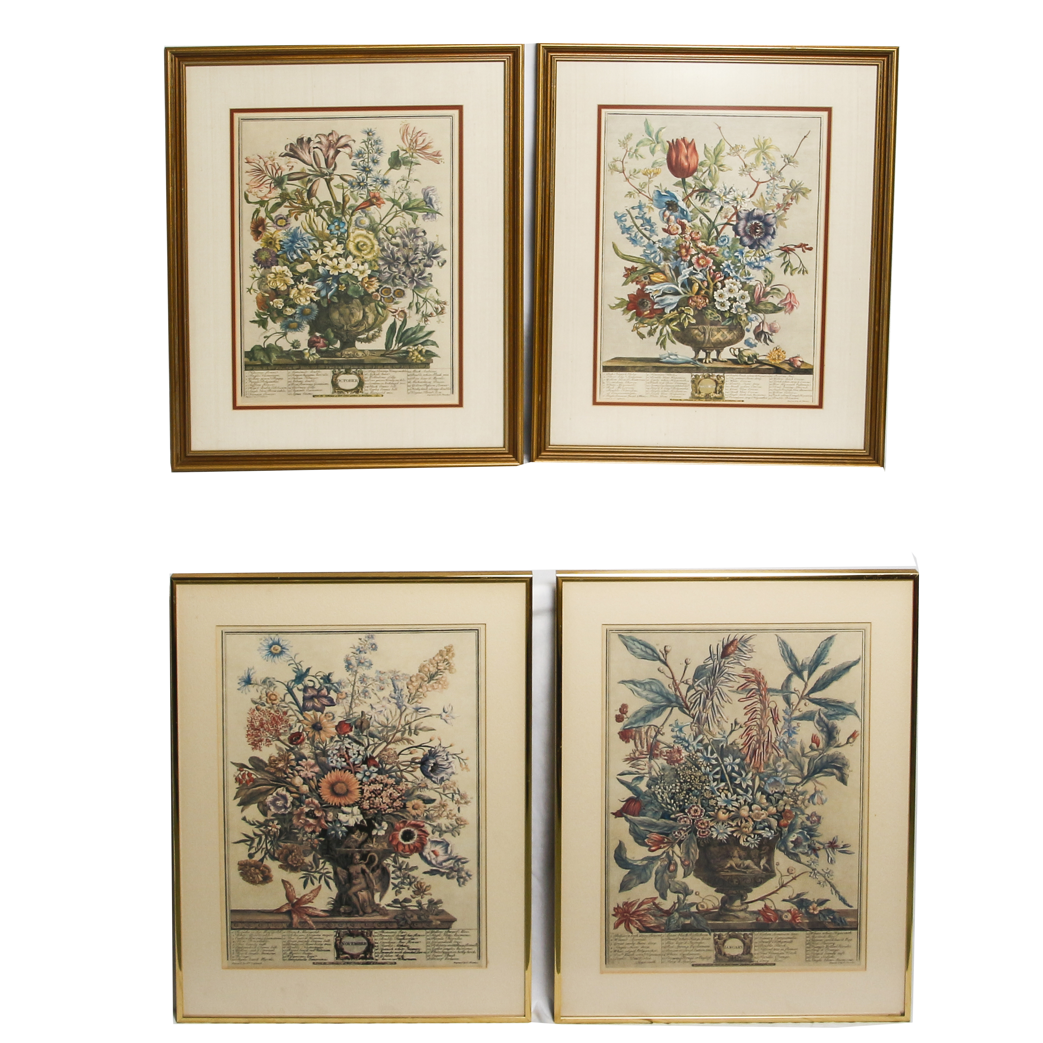 Botannical Offset Lithograph Prints After Henry Fletcher