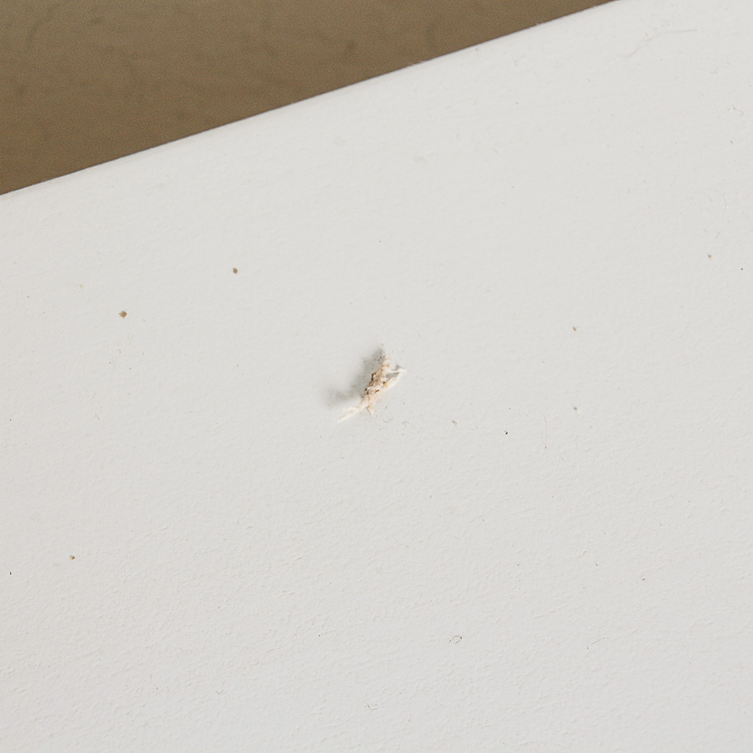 White Painted Console Table