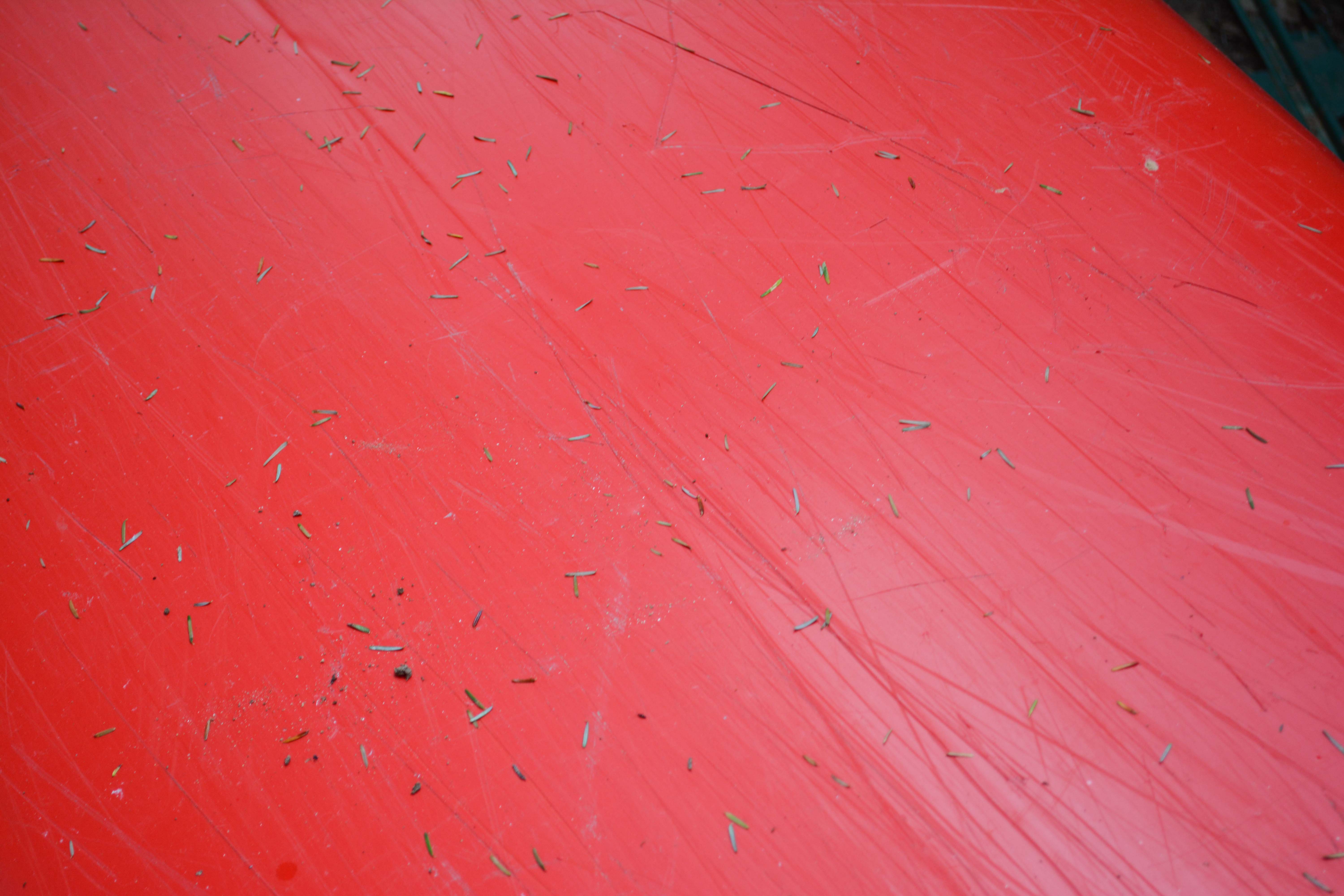 Old Town Royalex Camper Canoe with Carlisle and Bending Branches Paddles