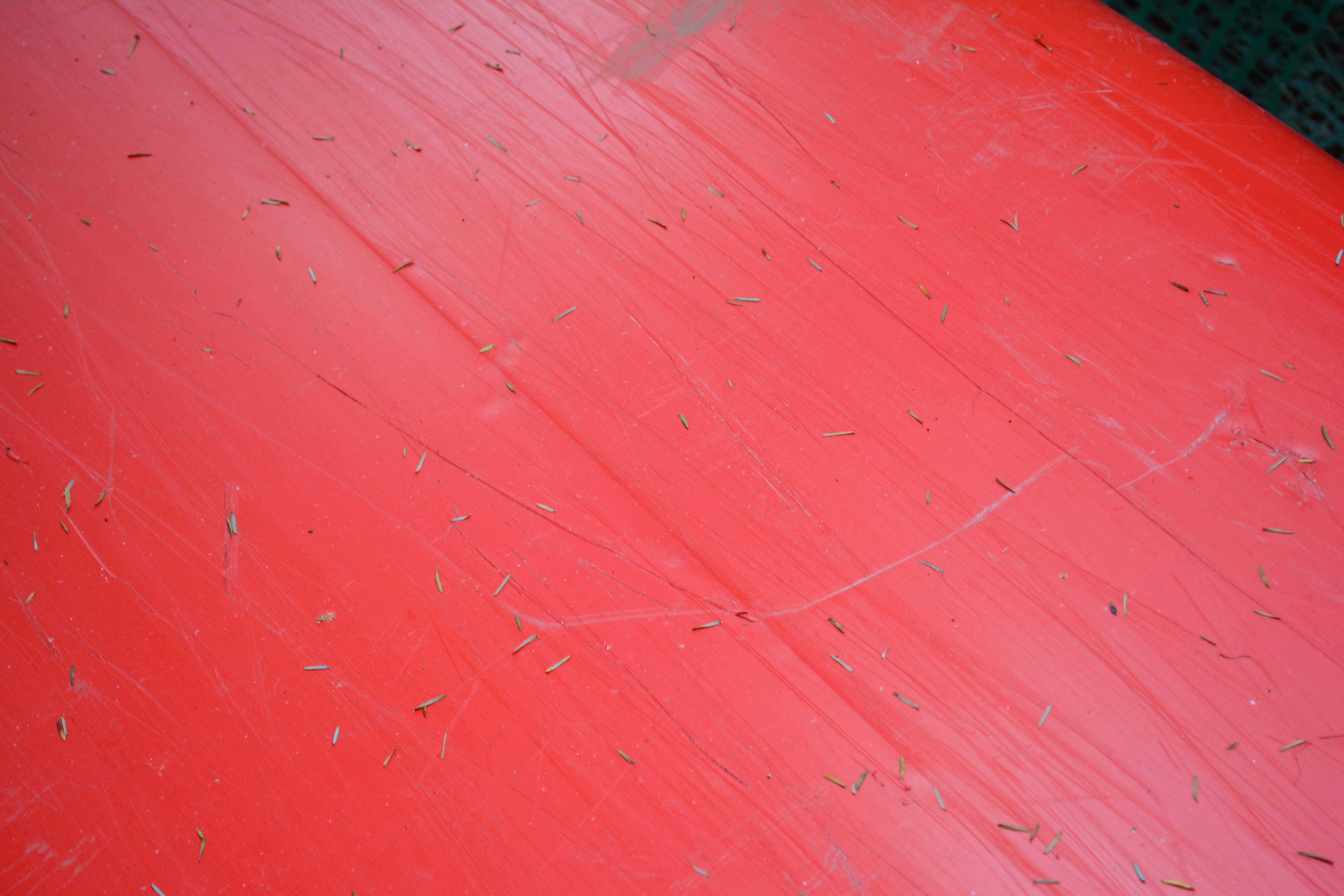 Old Town Royalex Camper Canoe with Carlisle and Bending Branches Paddles