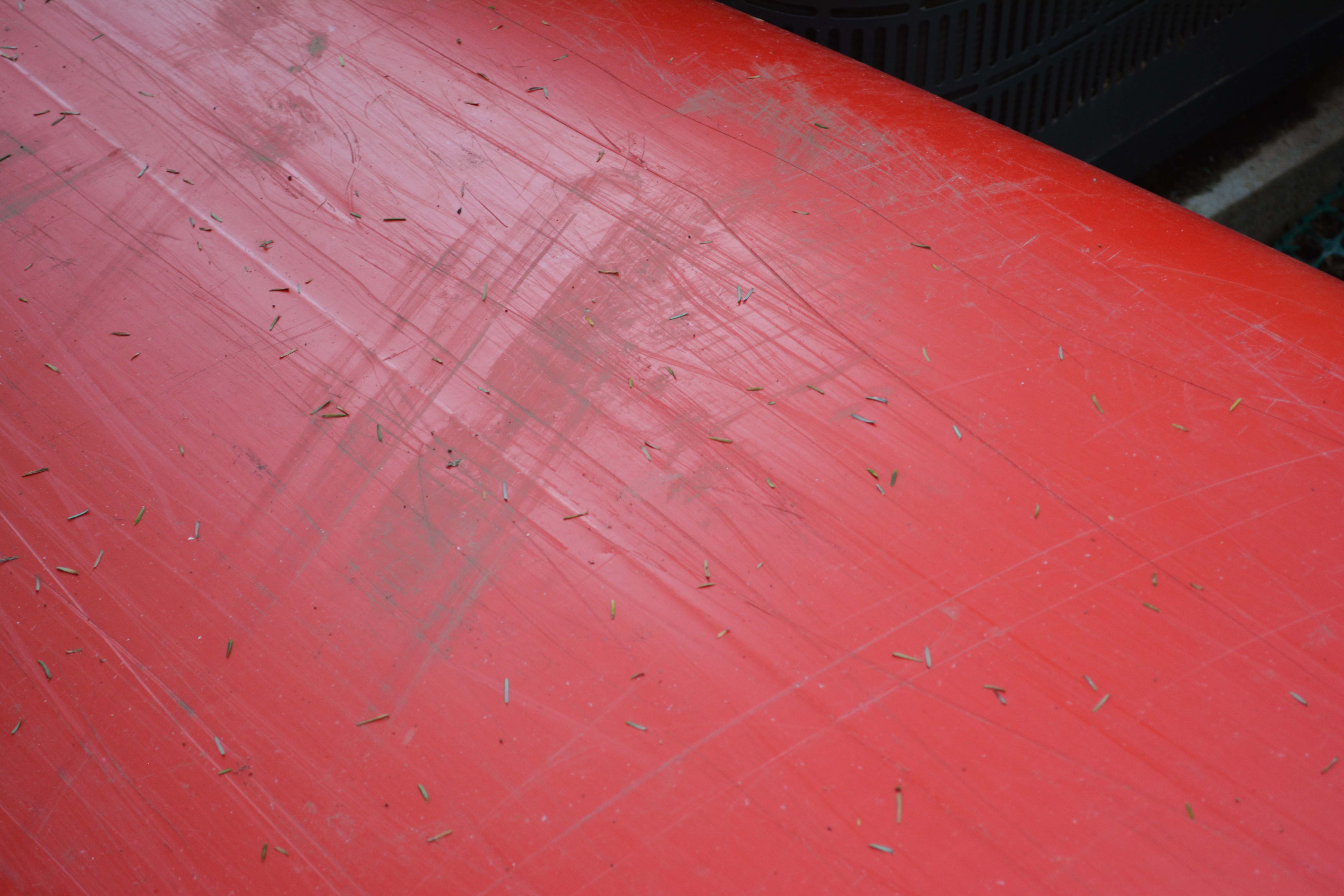 Old Town Royalex Camper Canoe with Carlisle and Bending Branches Paddles