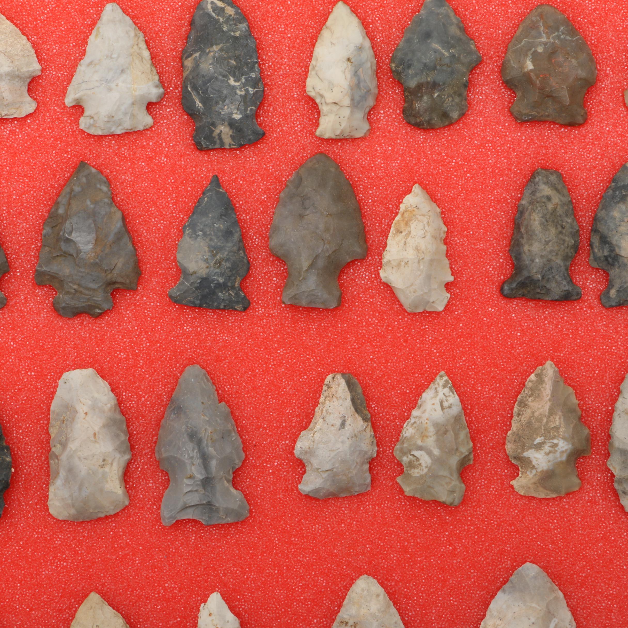 Chert Projectile Points