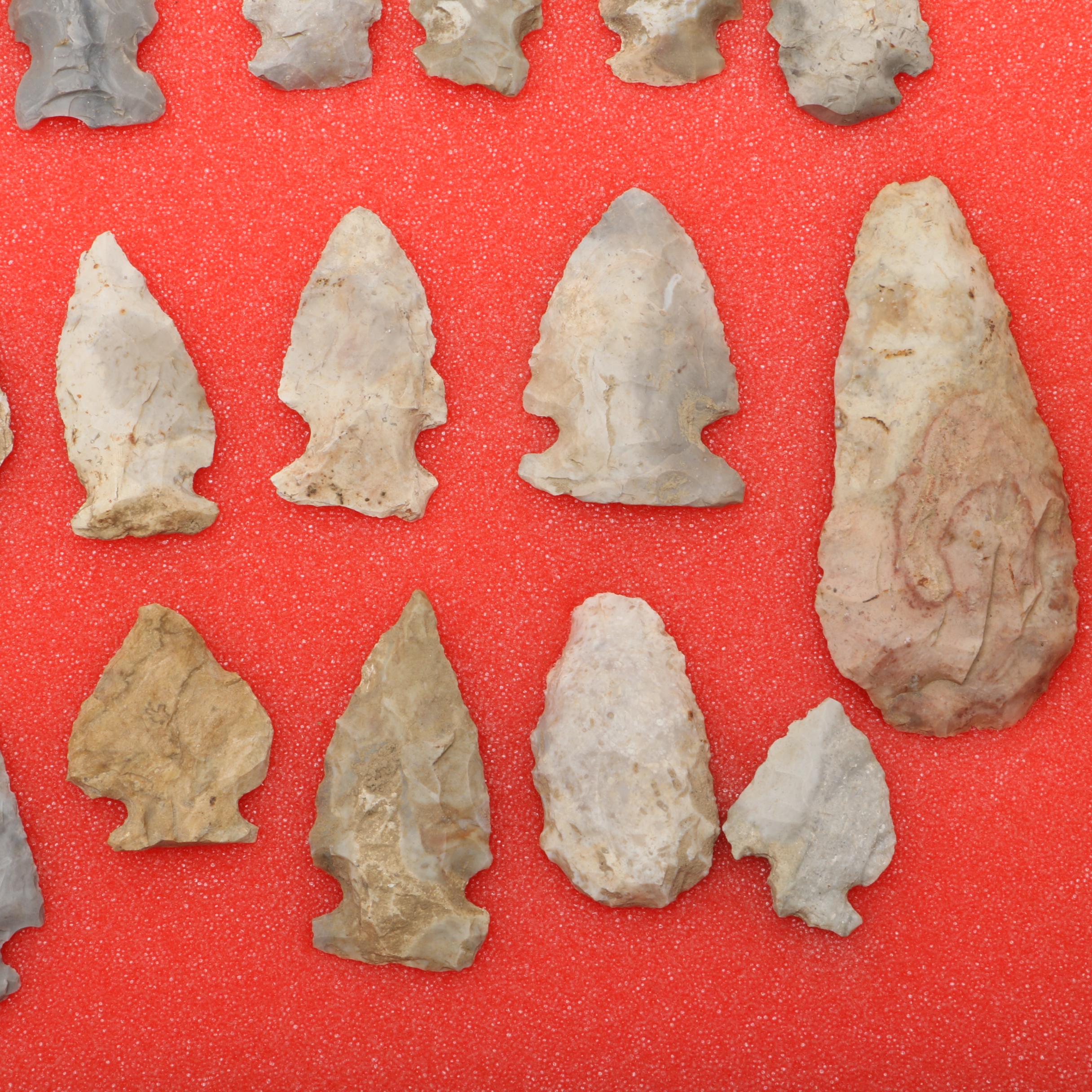 Chert Projectile Points