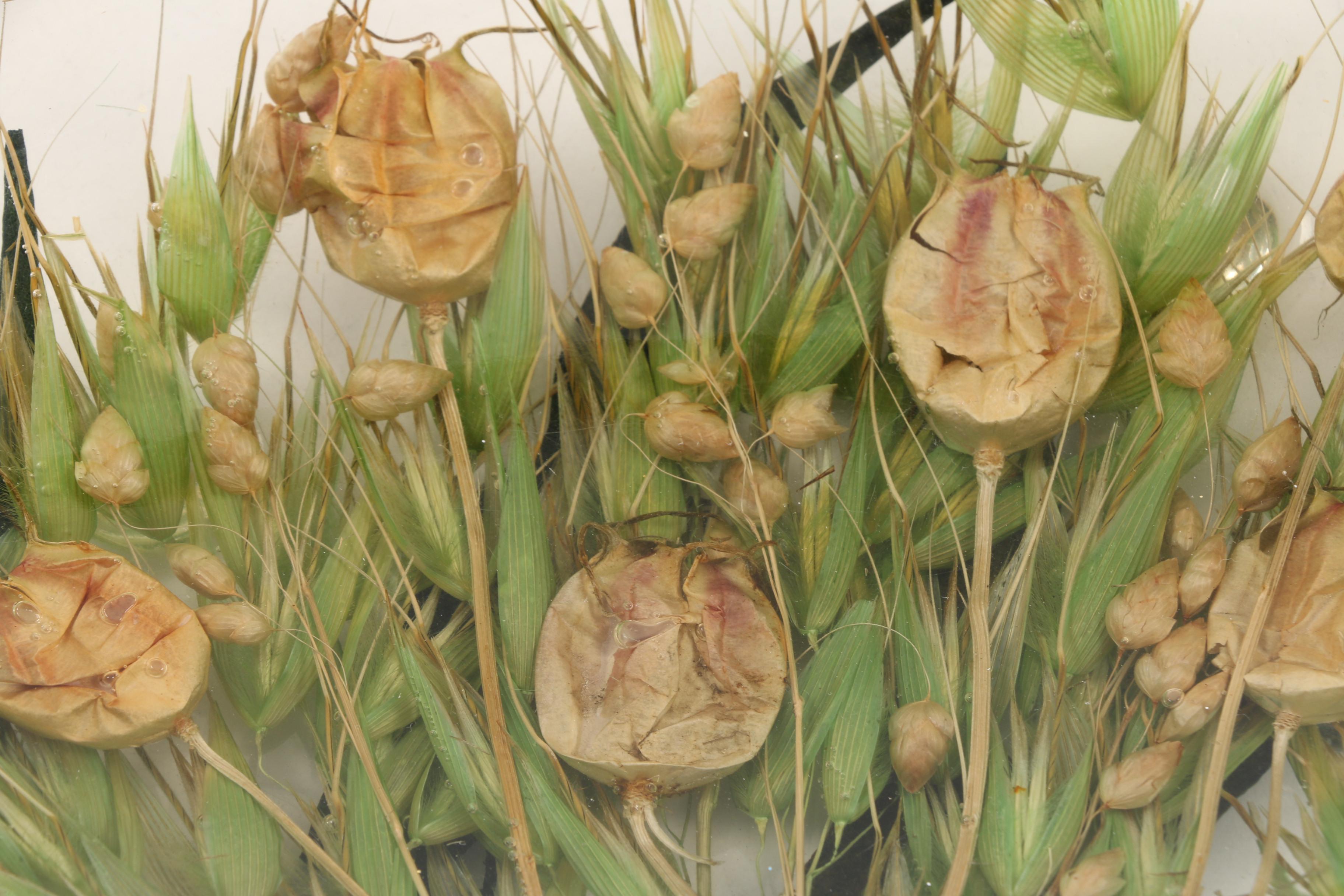 Riccardo Marzi Savannah Collection Oval Resin Plate