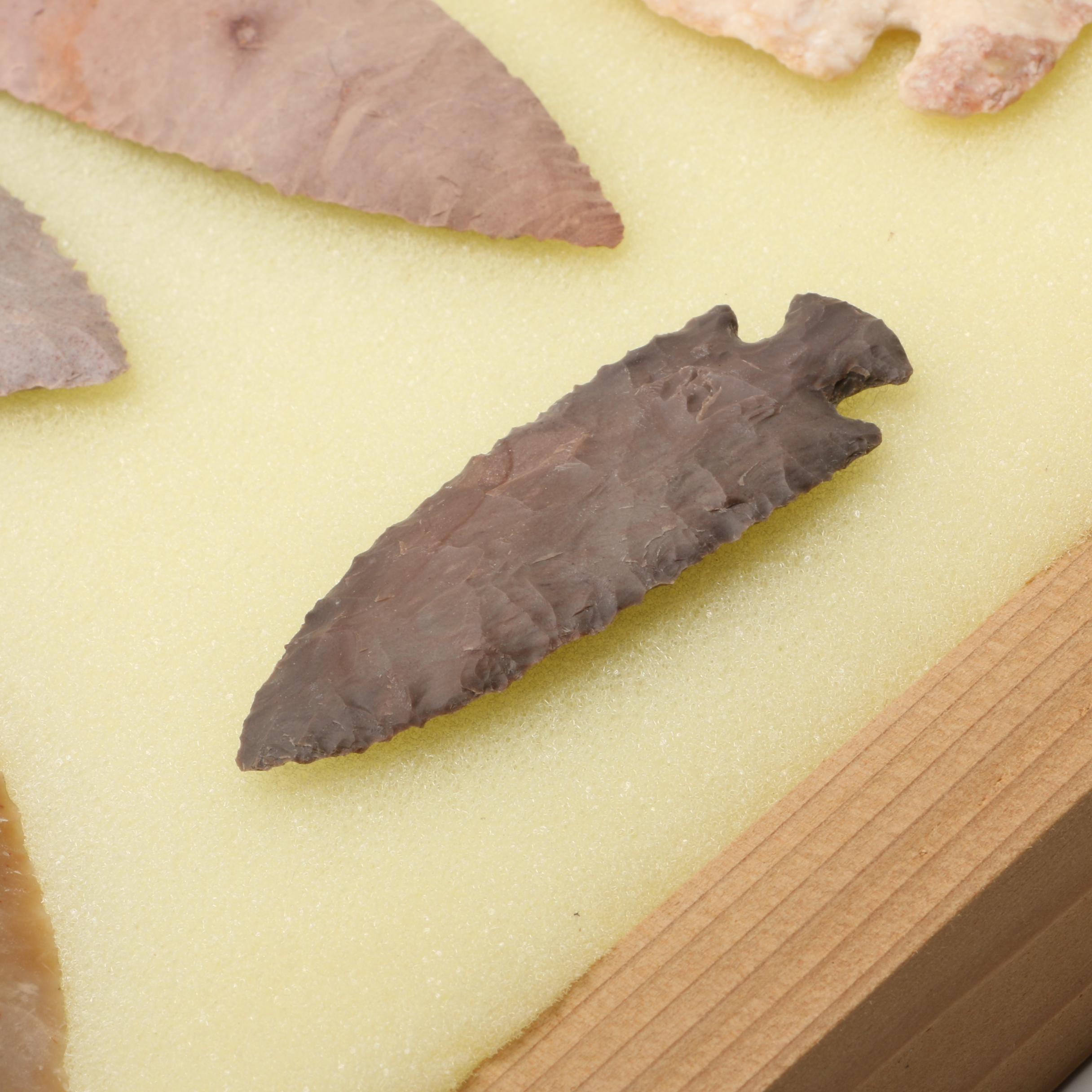 Bifacial Chert Points in Presentation Case