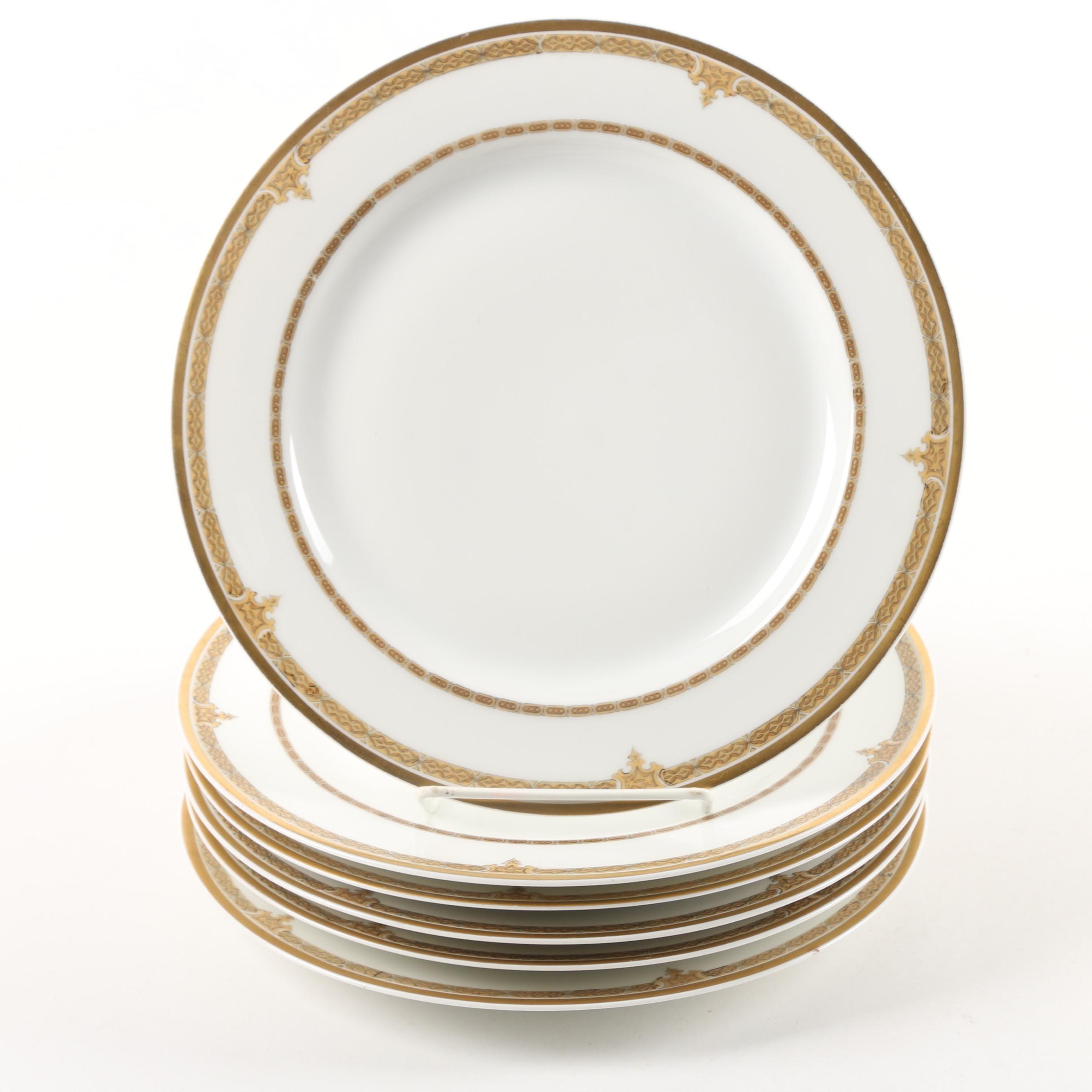 Vintage Haviland Limoges Porcelain Dinner Plates