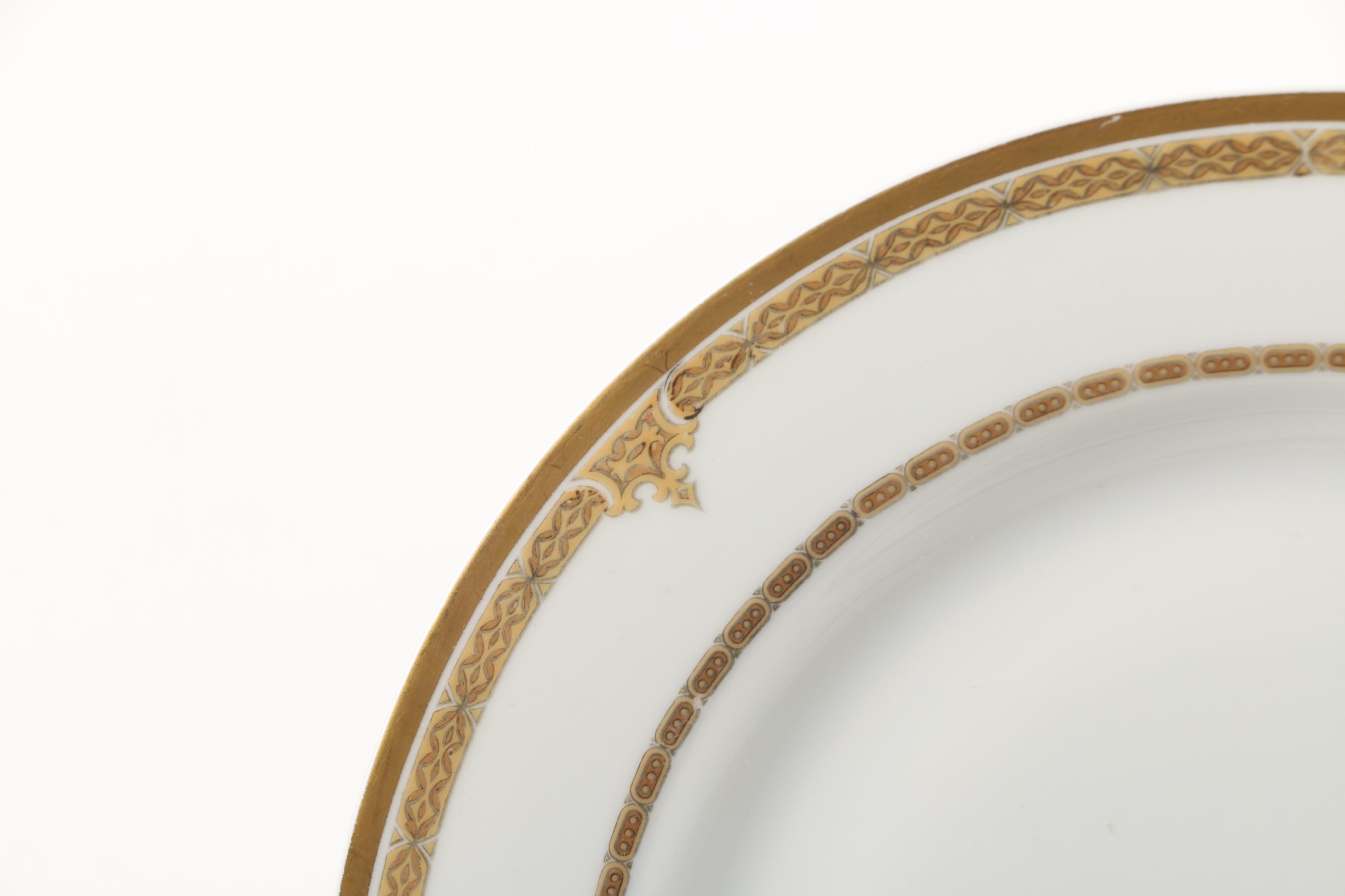 Vintage Haviland Limoges Porcelain Dinner Plates