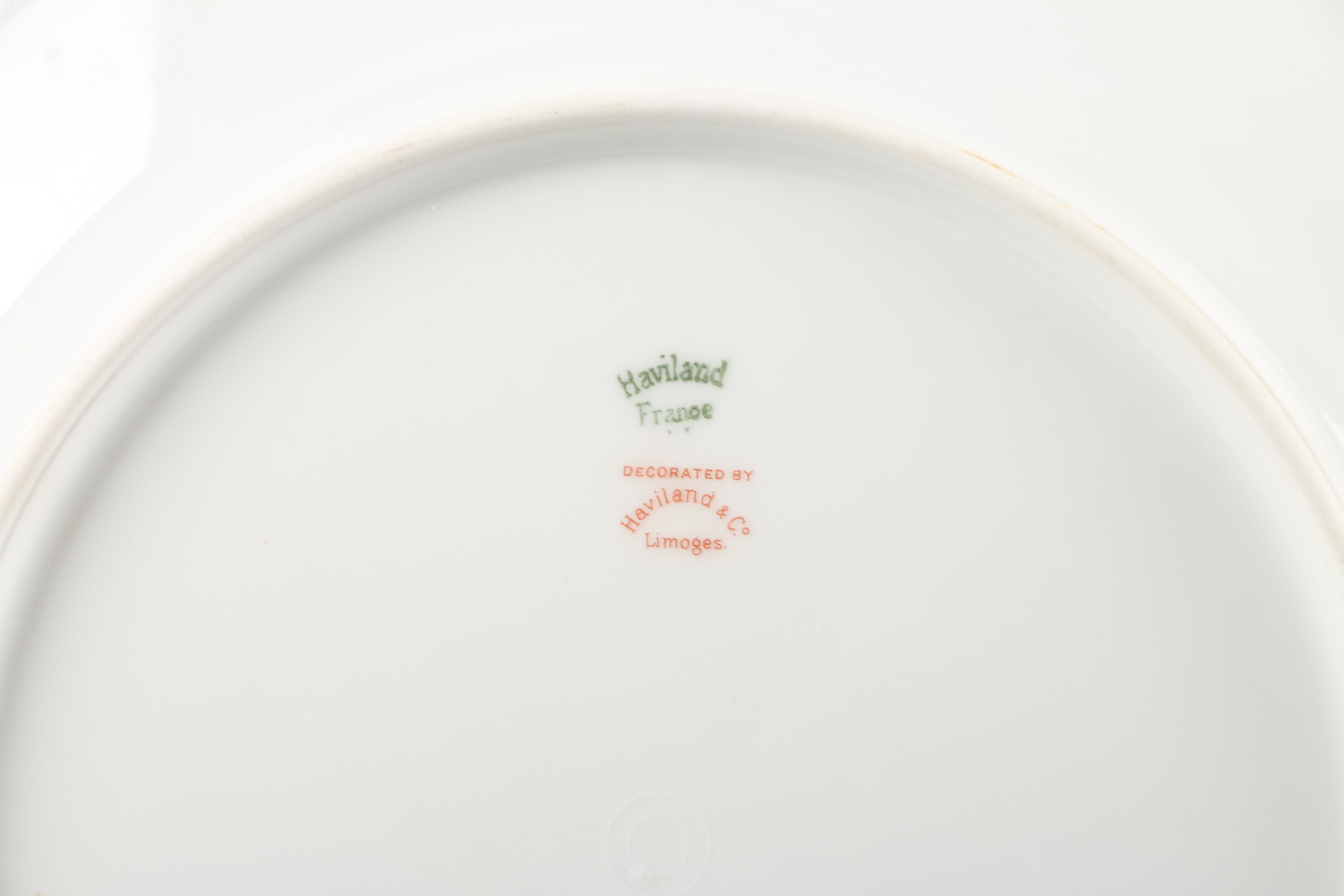 Vintage Haviland Limoges Porcelain Dinner Plates