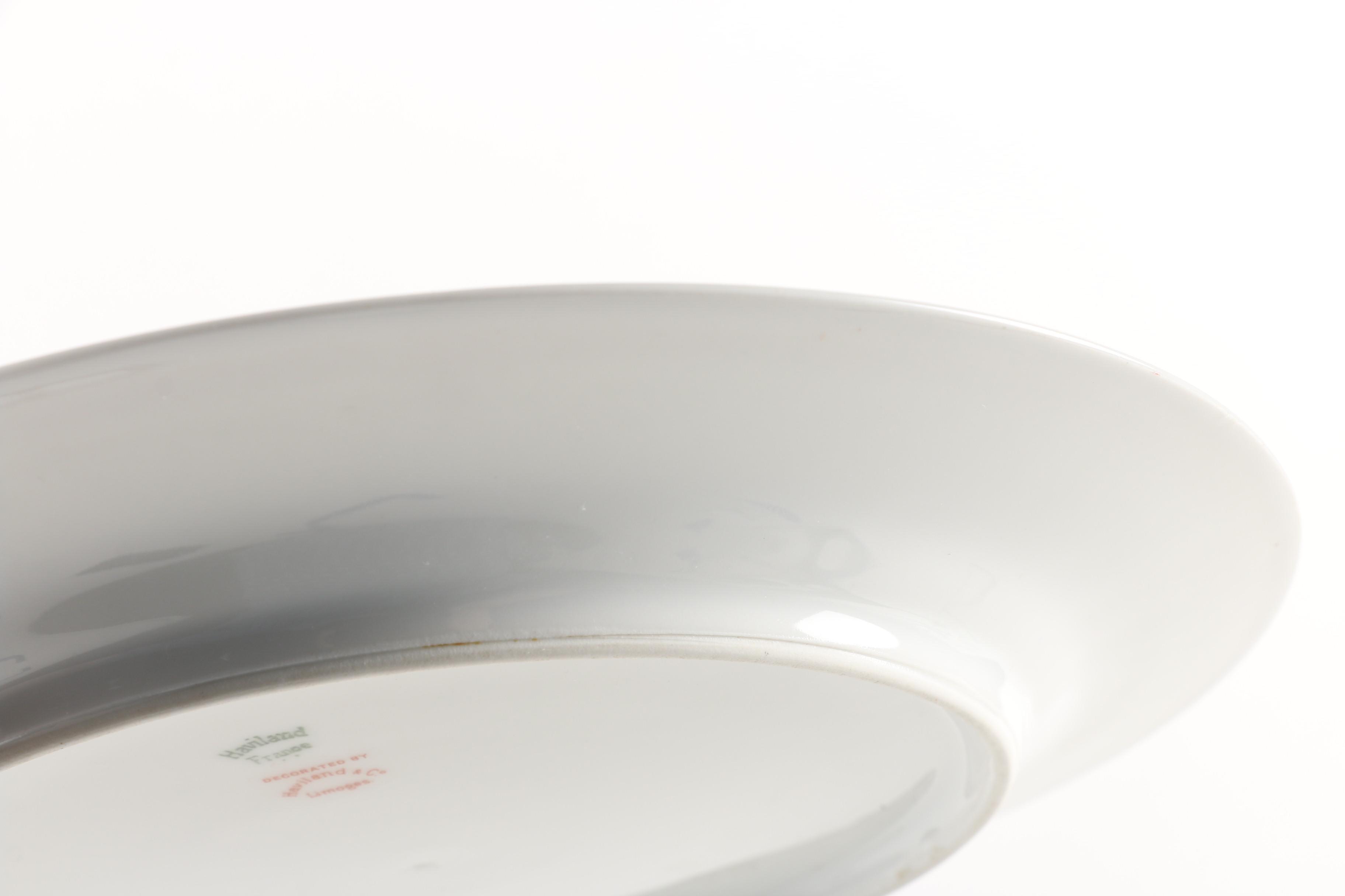 Vintage Haviland Limoges Porcelain Dinner Plates