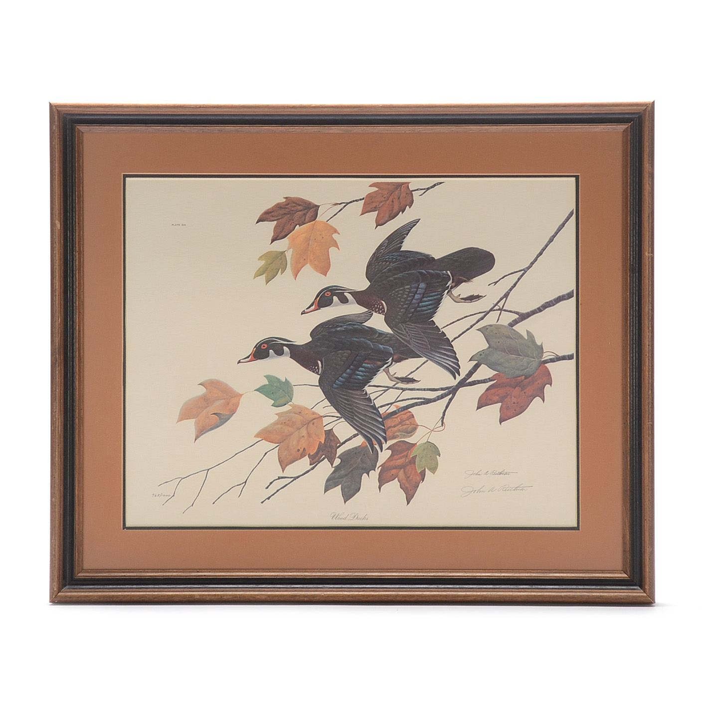 John Ruthven Signed Limited Edition Offset Lithograph "Wood Ducks"