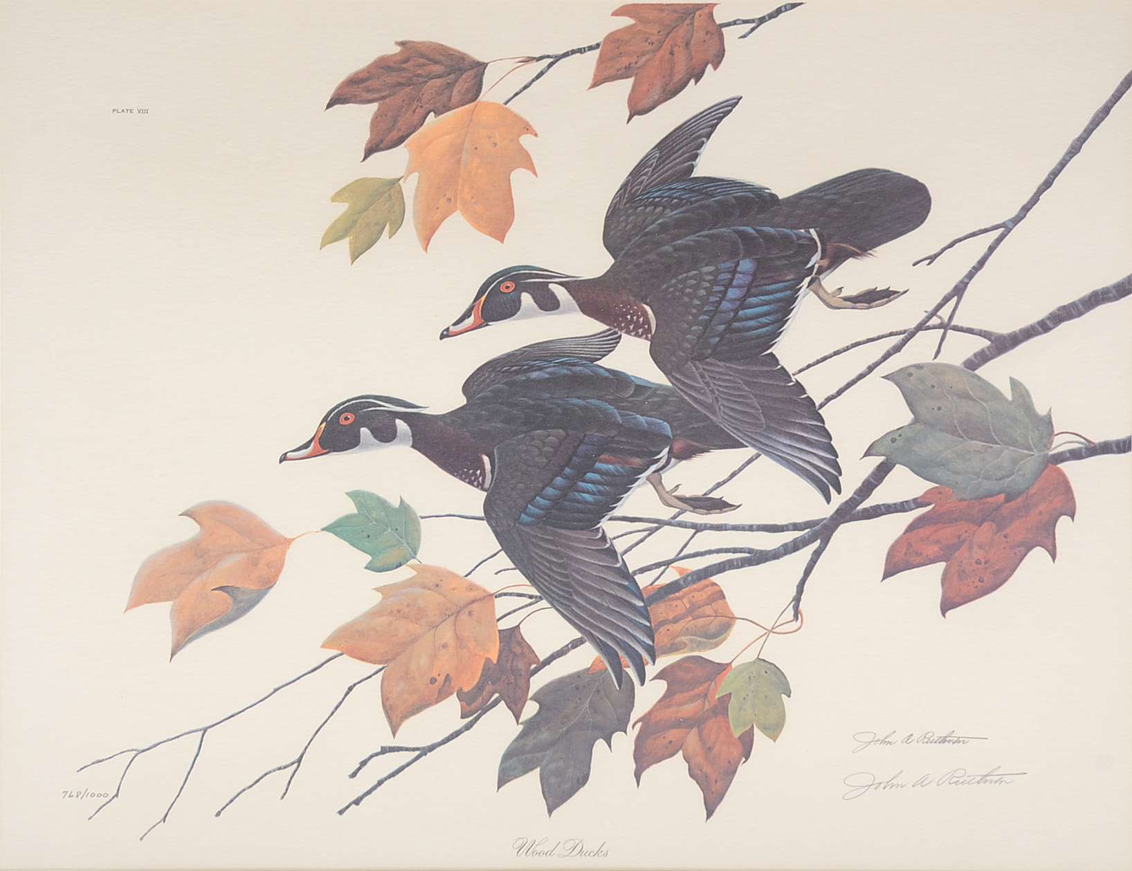 John Ruthven Signed Limited Edition Offset Lithograph "Wood Ducks"