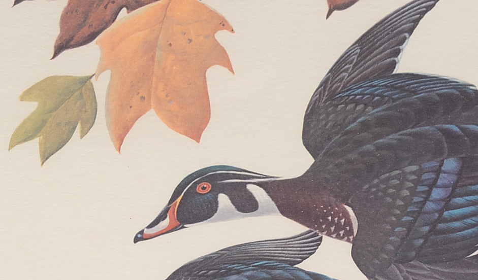 John Ruthven Signed Limited Edition Offset Lithograph "Wood Ducks"
