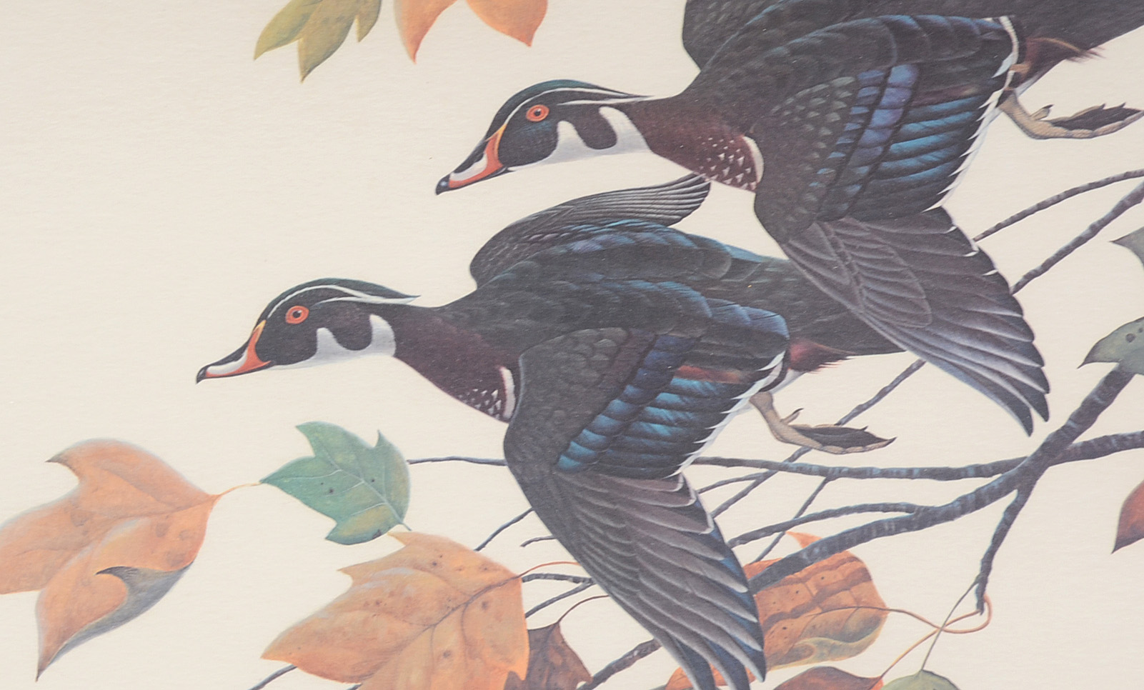 John Ruthven Signed Limited Edition Offset Lithograph "Wood Ducks"