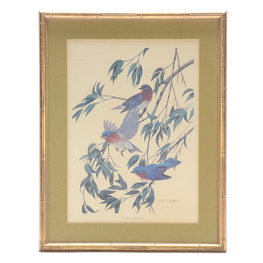 John Ruthven Signed Limited Edition Offset Lithograph "Eastern Bluebirds"