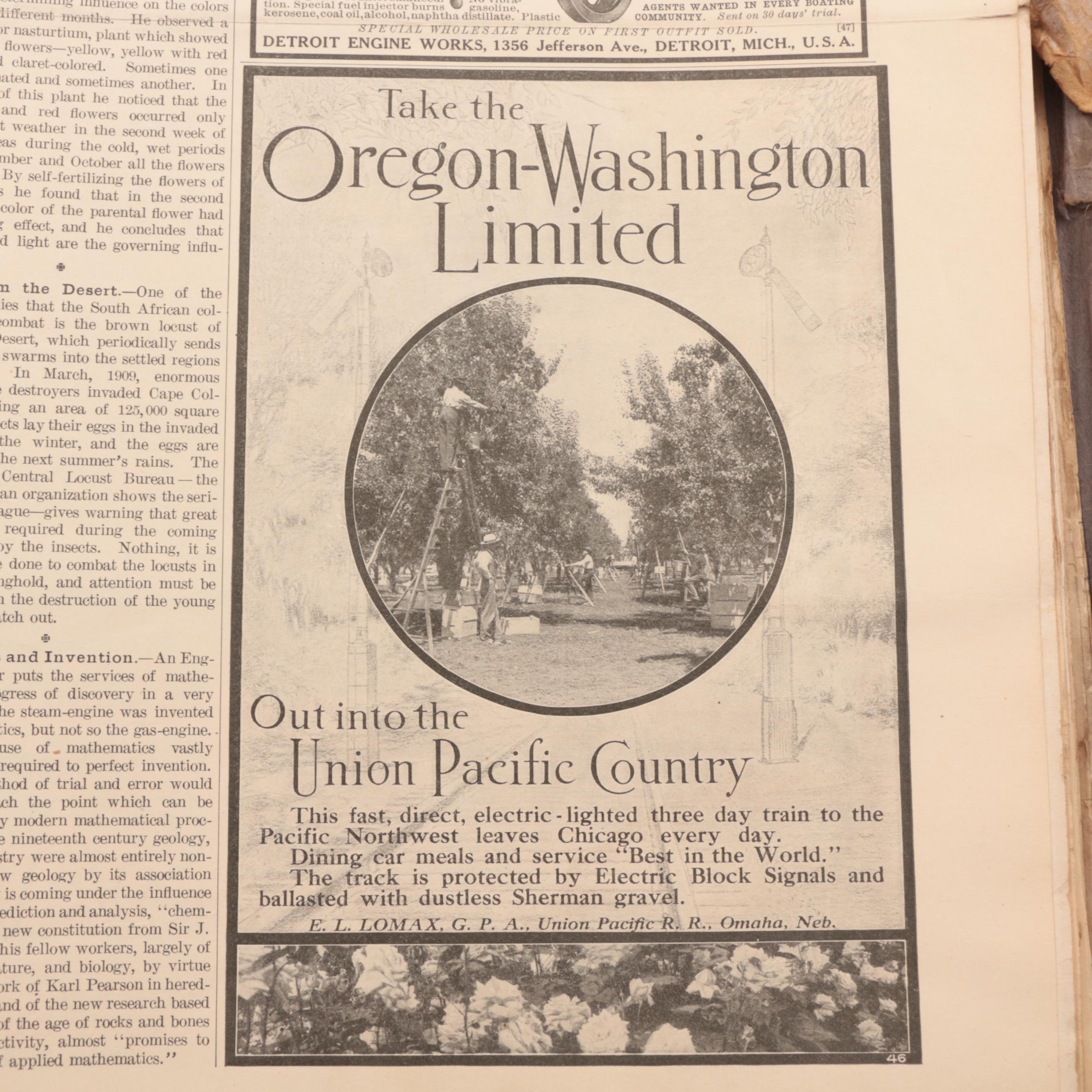 Compilations Of Early 20th Century "The Youth's Companion" Publications