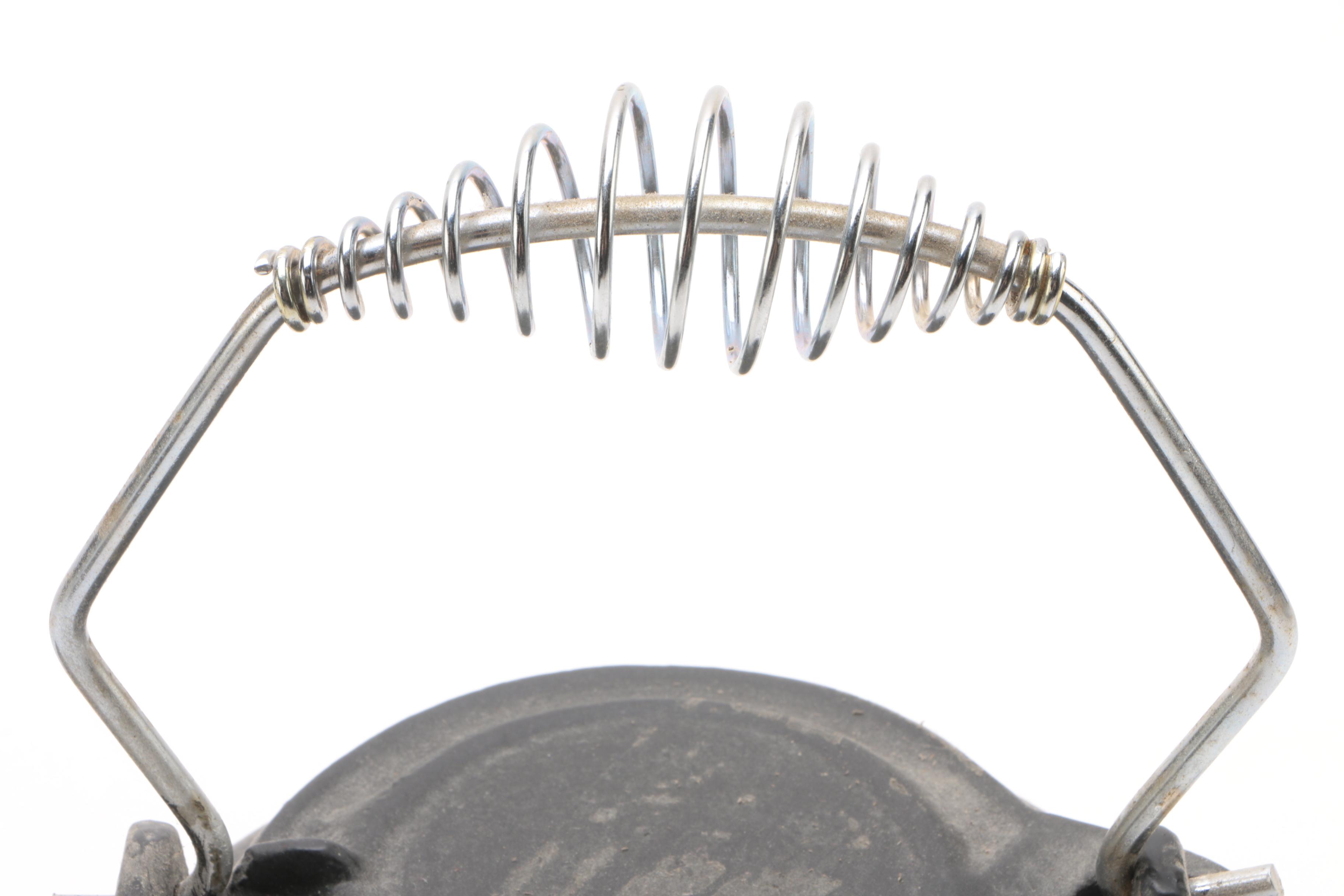 Cast Iron Tea Kettle