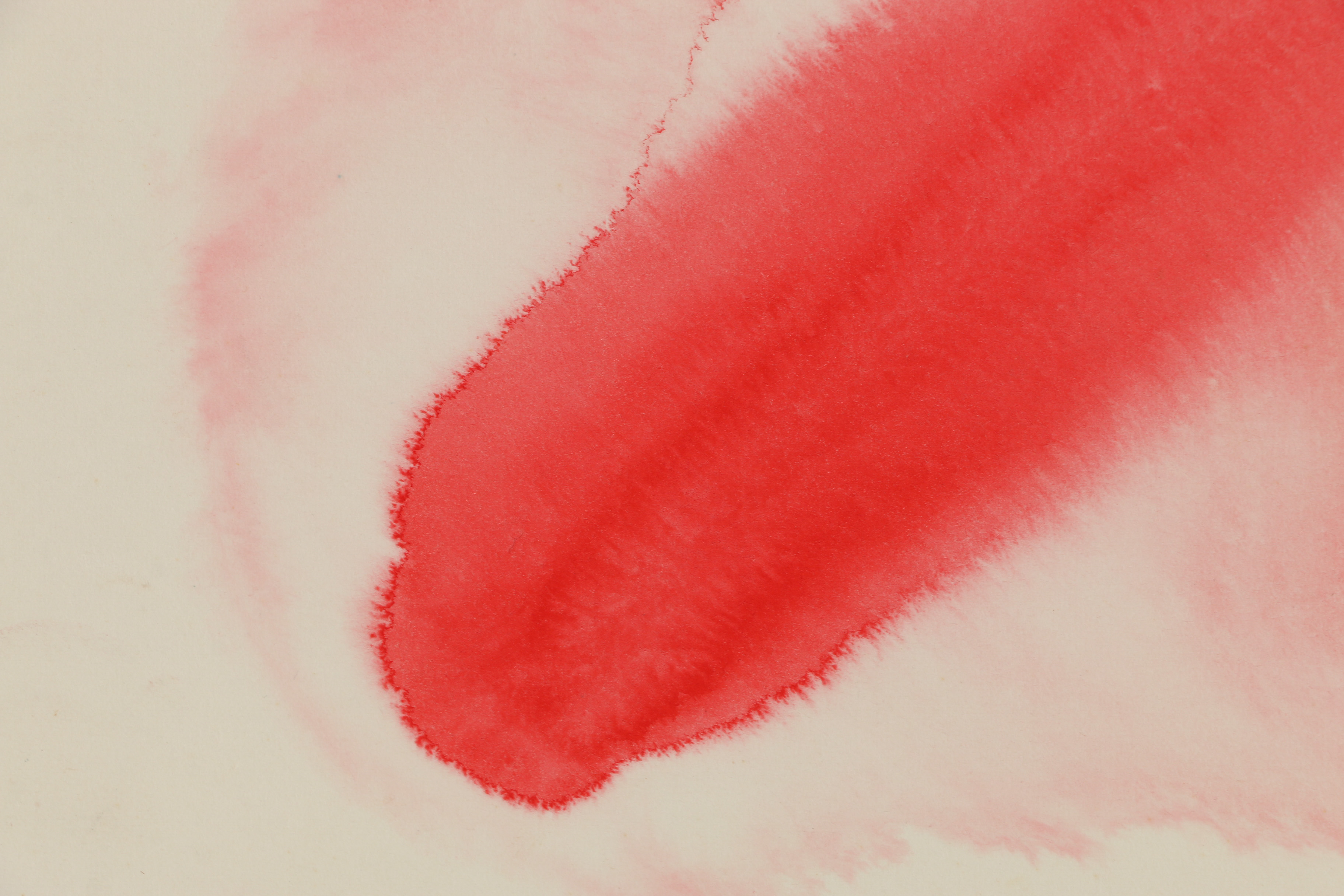 Beth Hertz Watercolor Painting