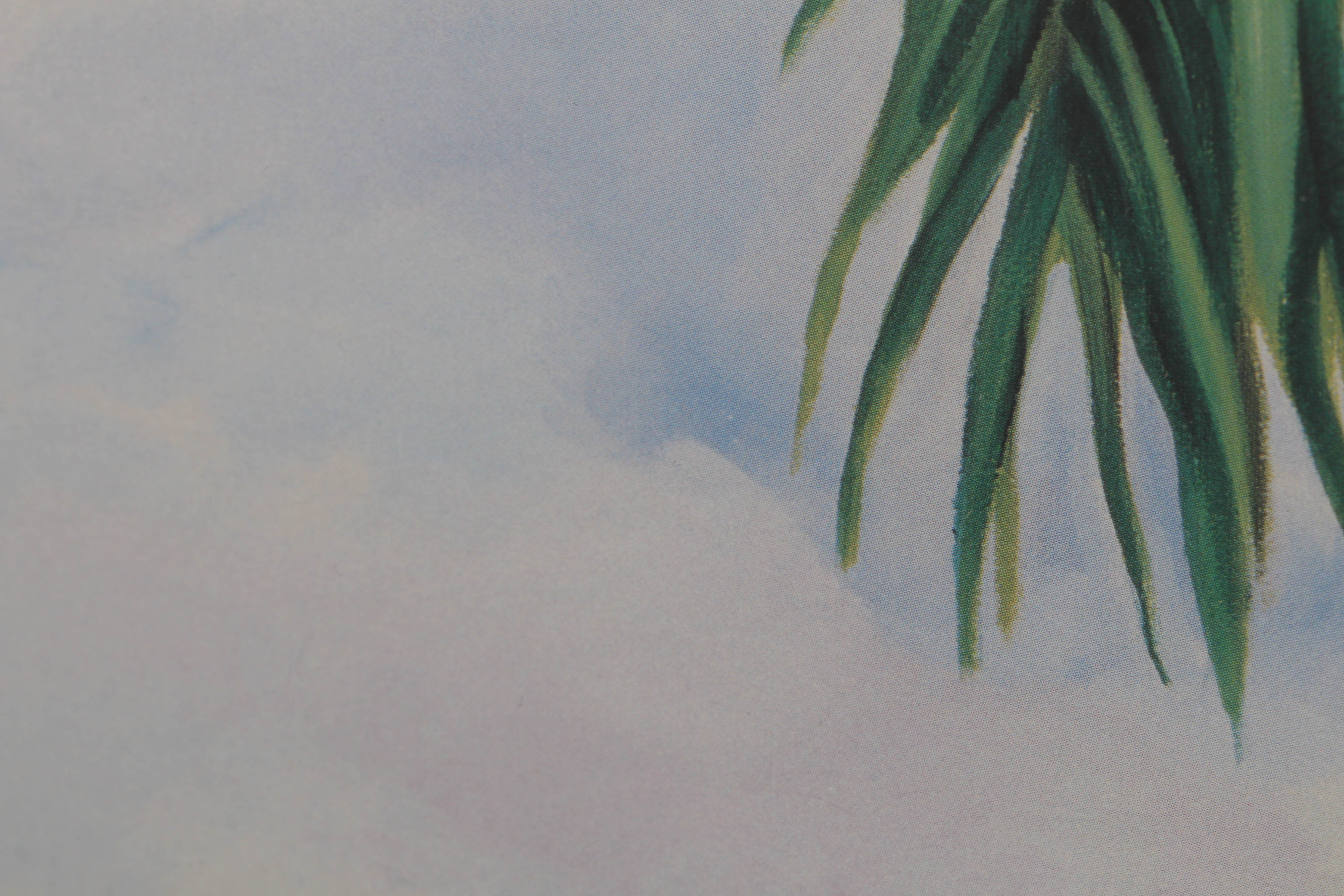 Offset Lithograph Print after Eileen Seitz of Tropical Scene