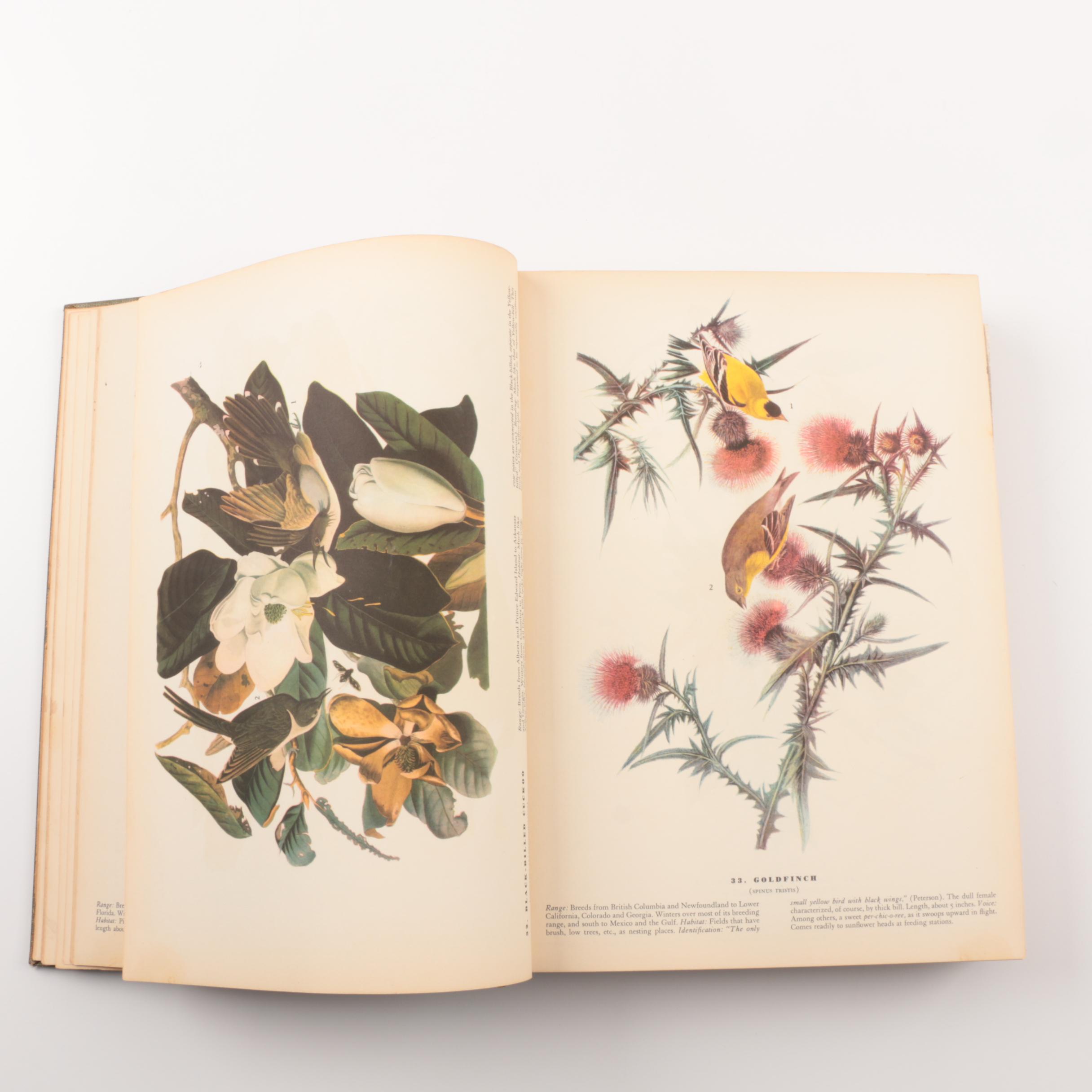1937 "Birds of America" by John James Audubon