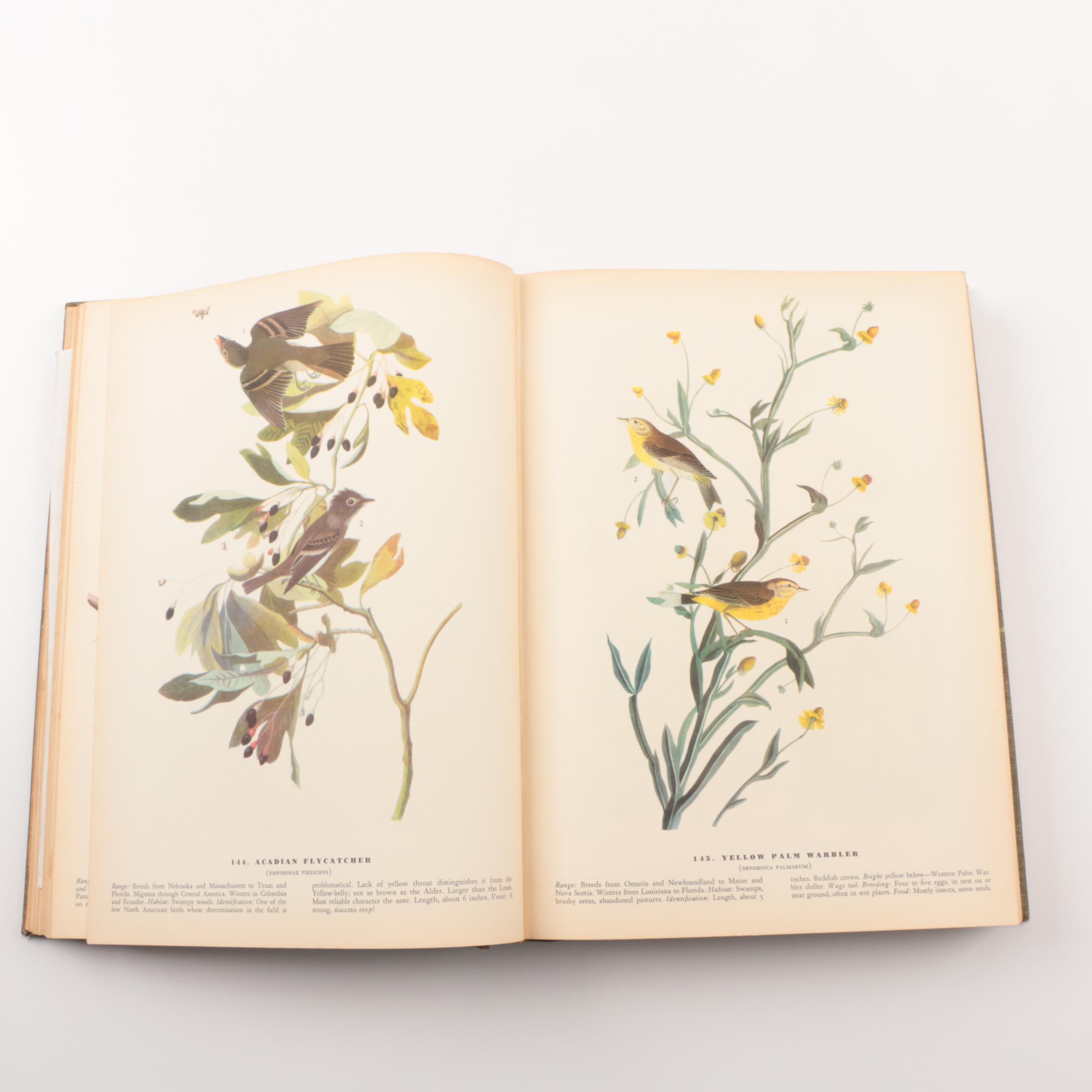 1937 "Birds of America" by John James Audubon