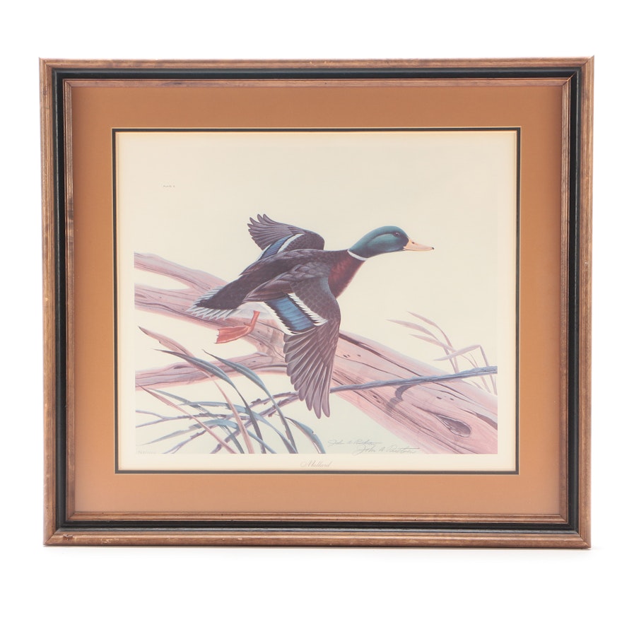 John Ruthven Signed Limited Edition Offset Lithograph "Mallard"