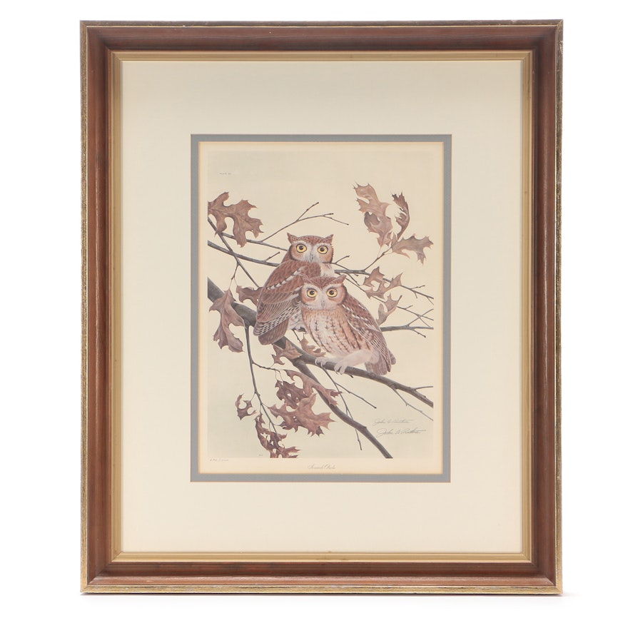 John Ruthven Signed Limited Edition Offset Lithograph "Screen Owls"
