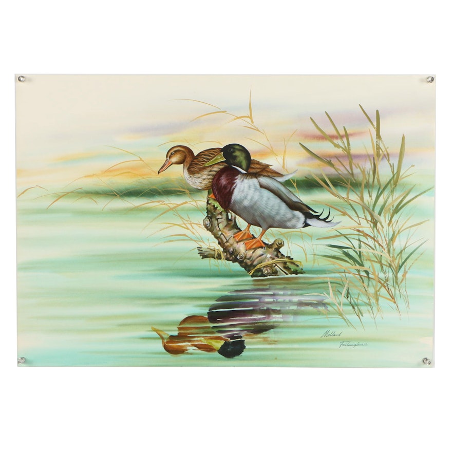 Vintage Watercolor and Gouache Painting "Mallard"