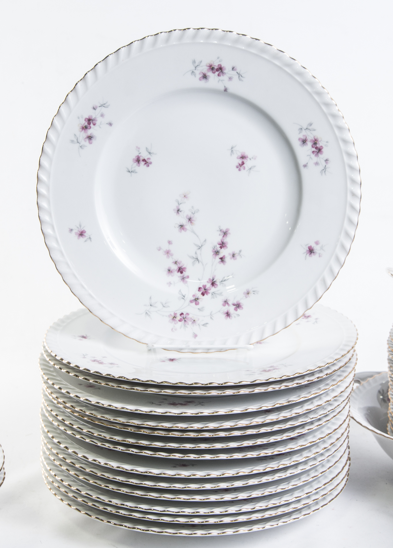 Franconia-Krautheim "Fiorella" Porcelain Dinnerware