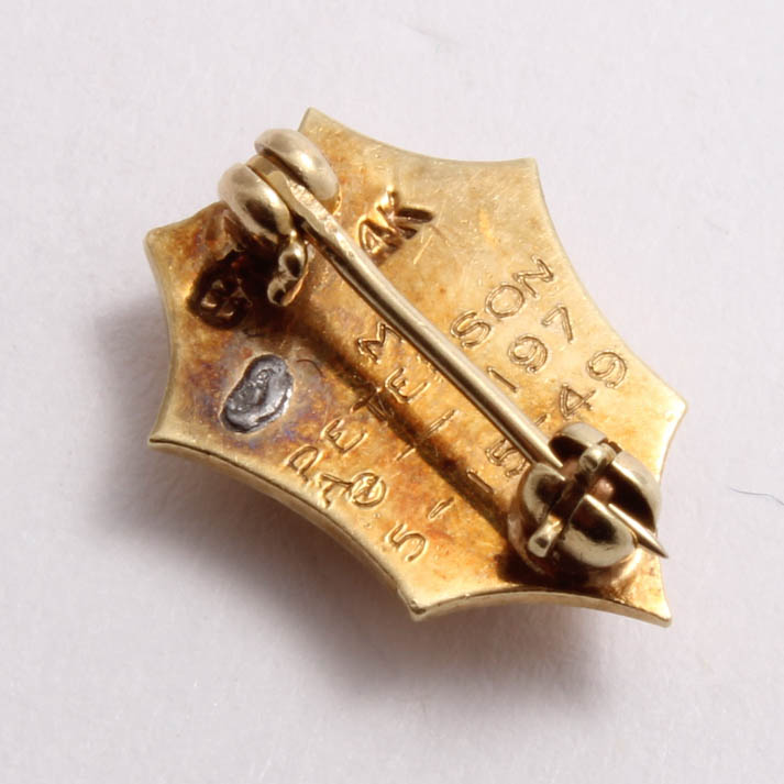 Delta Sigma Epsilon 14K Yellow Gold Enamel Sorority Pin