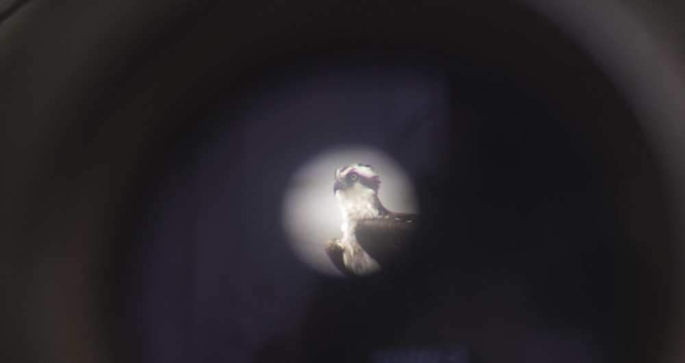 Oberwerk 25/40x100 Long-Range Observation Binoculars with Tripod and Case