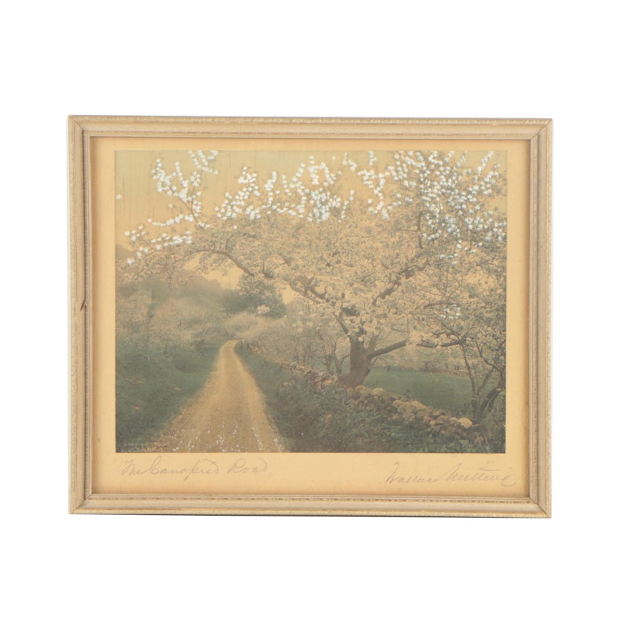 Wallace Nutting 1910 Hand Colored Photograph "A Canopied Road"