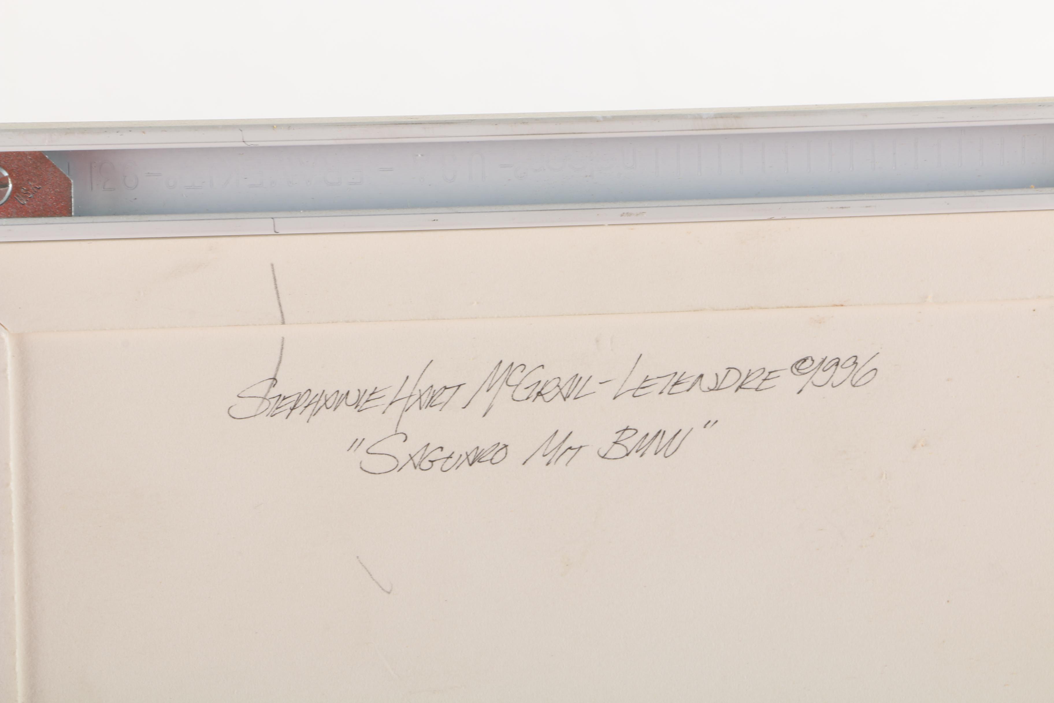 Stephanie Hart McGrail-Letendre 1996 Cut Paper Collage "Saguaro Mit BMW"