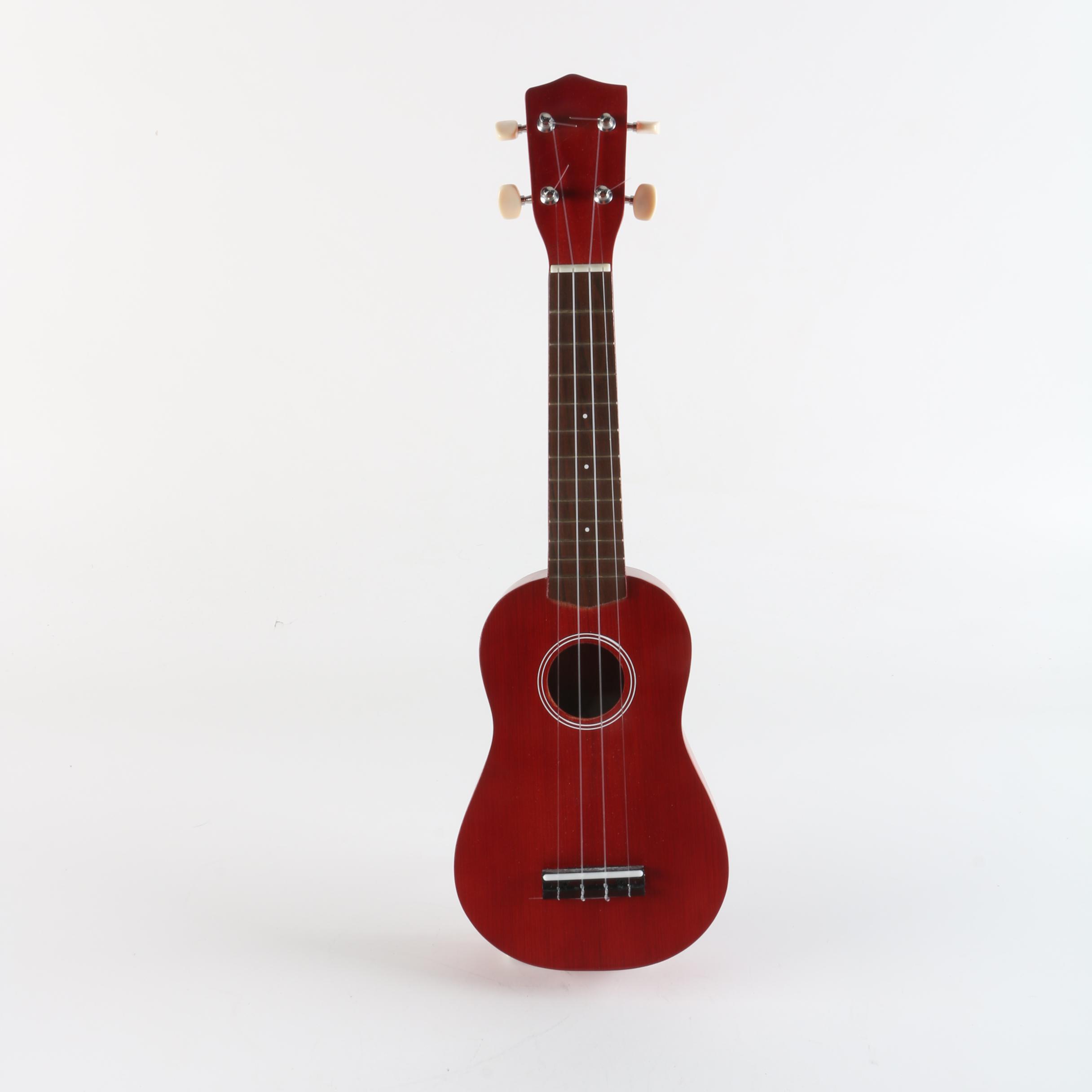 Ukulele with Gig Bag