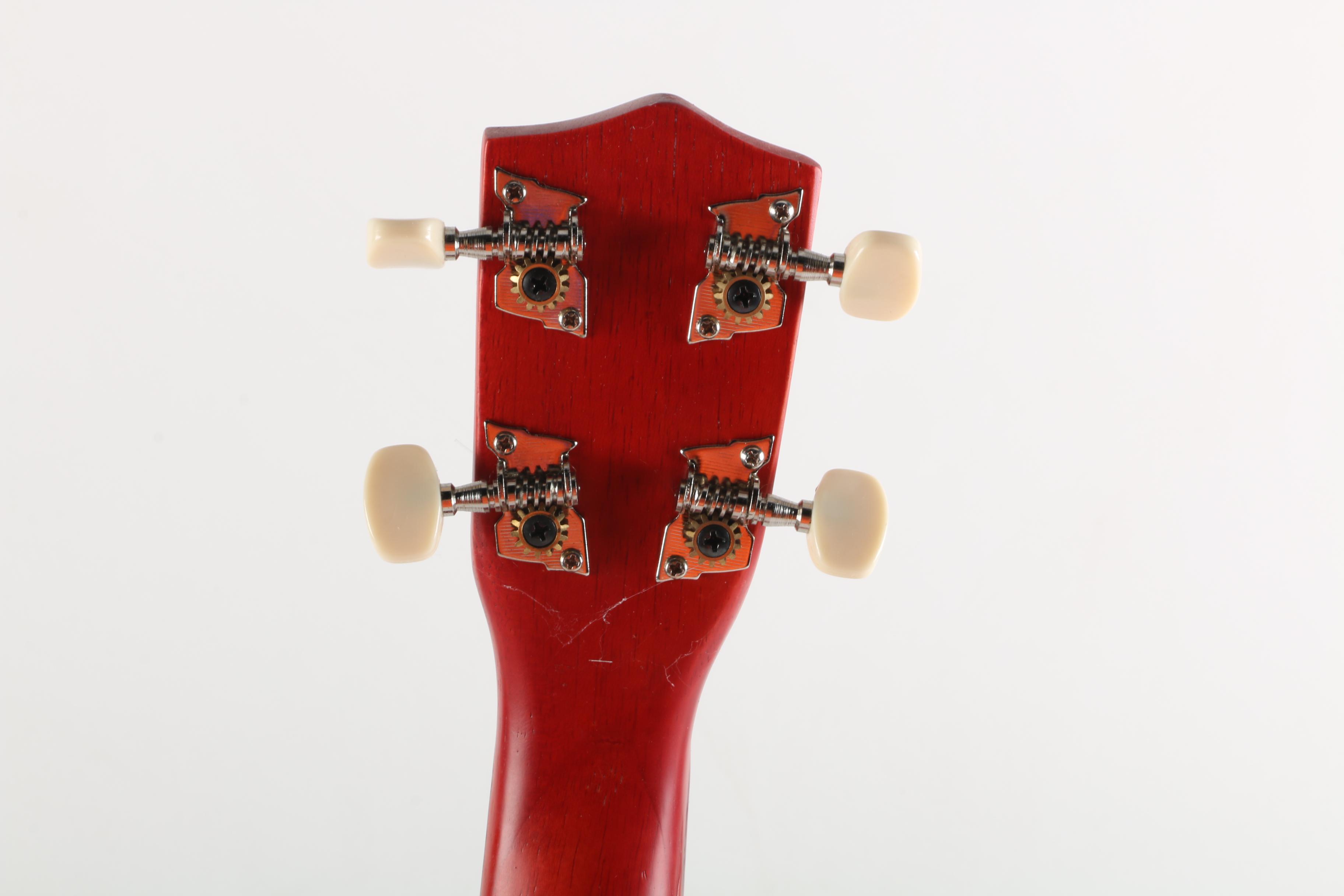 Ukulele with Gig Bag