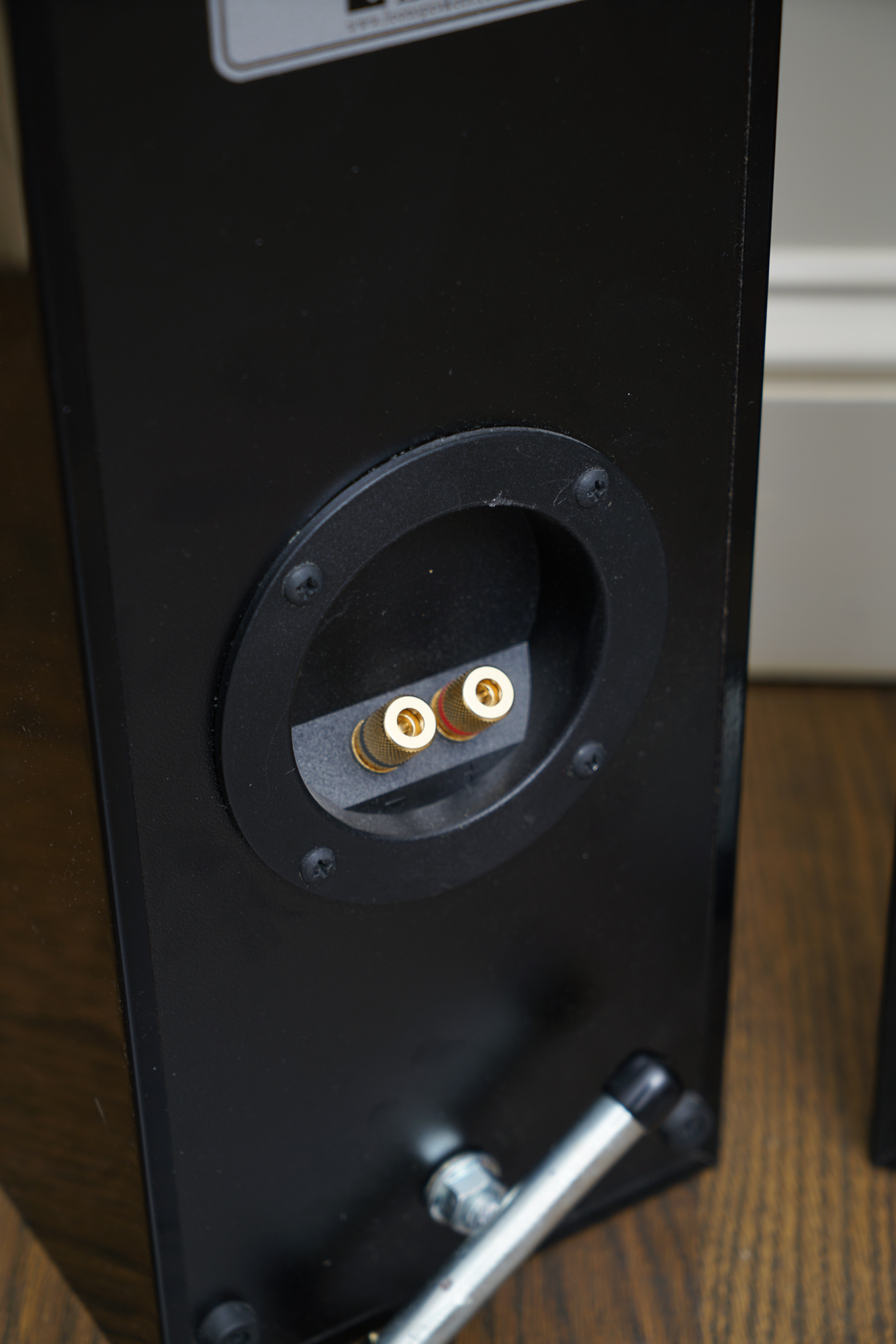 LG 42" Plasma TV with Leon Profile Hand-Crafted Stereo Speakers