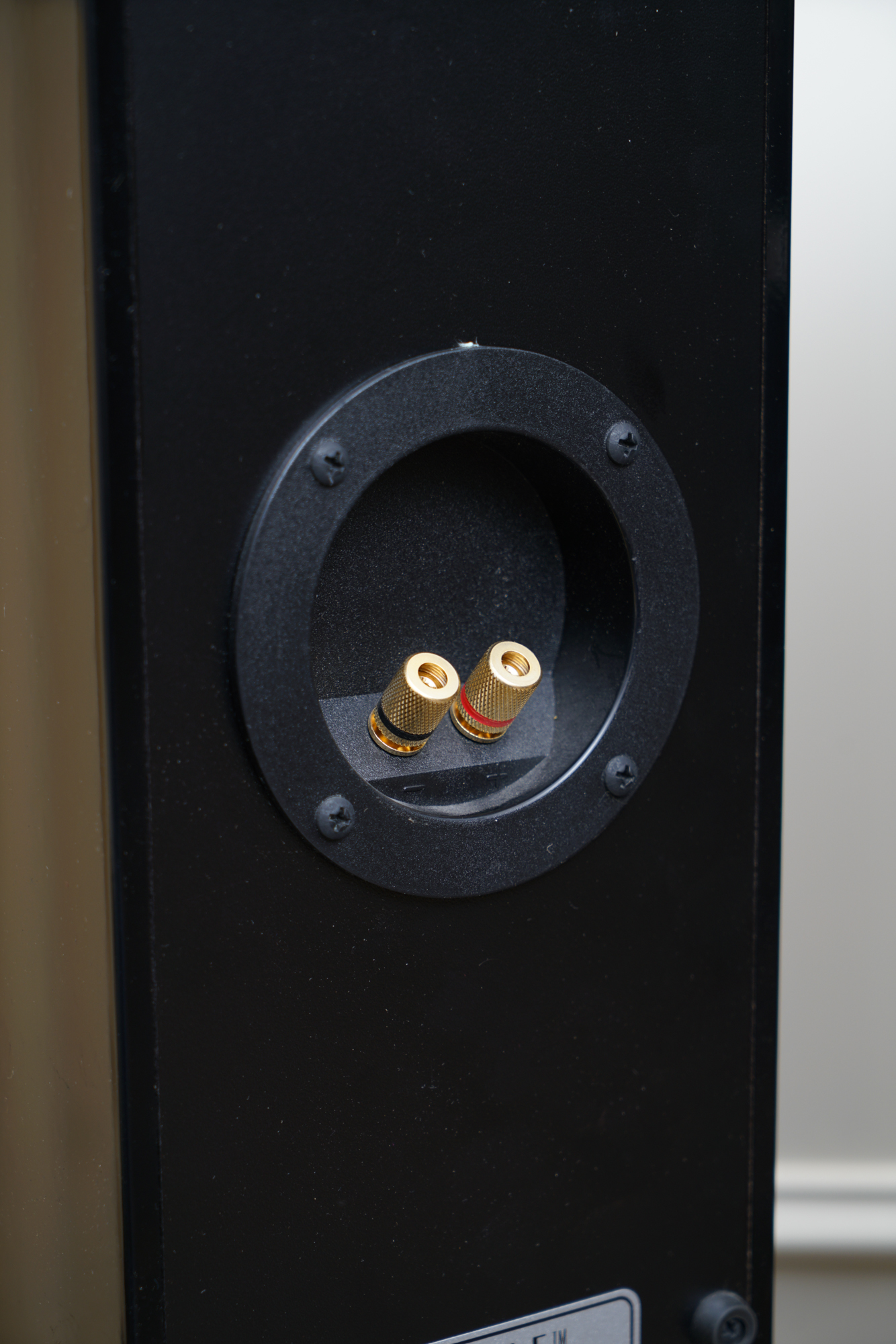 LG 42" Plasma TV with Leon Profile Hand-Crafted Stereo Speakers