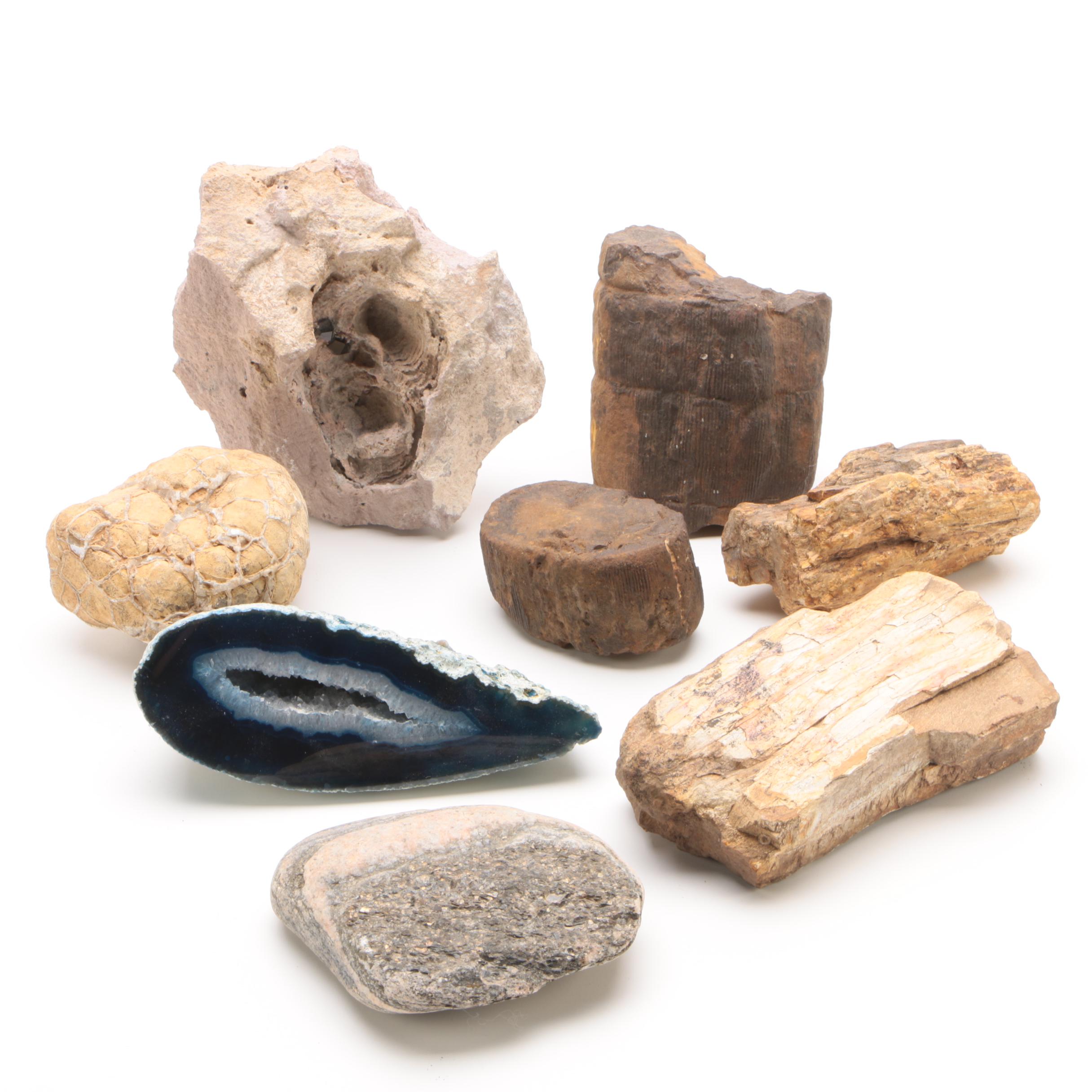 Mineral Specimens Including Petrified Wood, Garnet, Granite, Dyed Agate and More