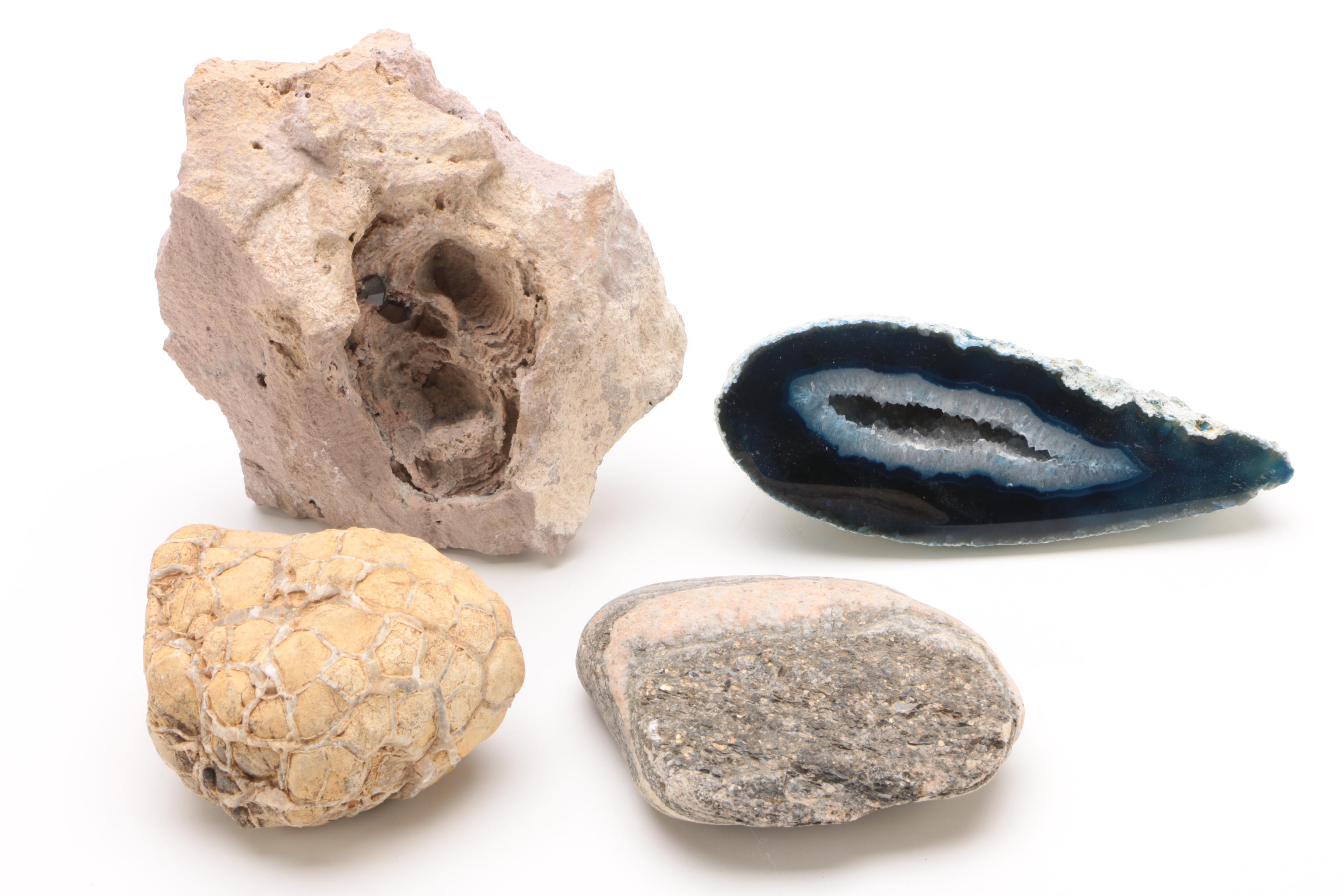Mineral Specimens Including Petrified Wood, Garnet, Granite, Dyed Agate and More