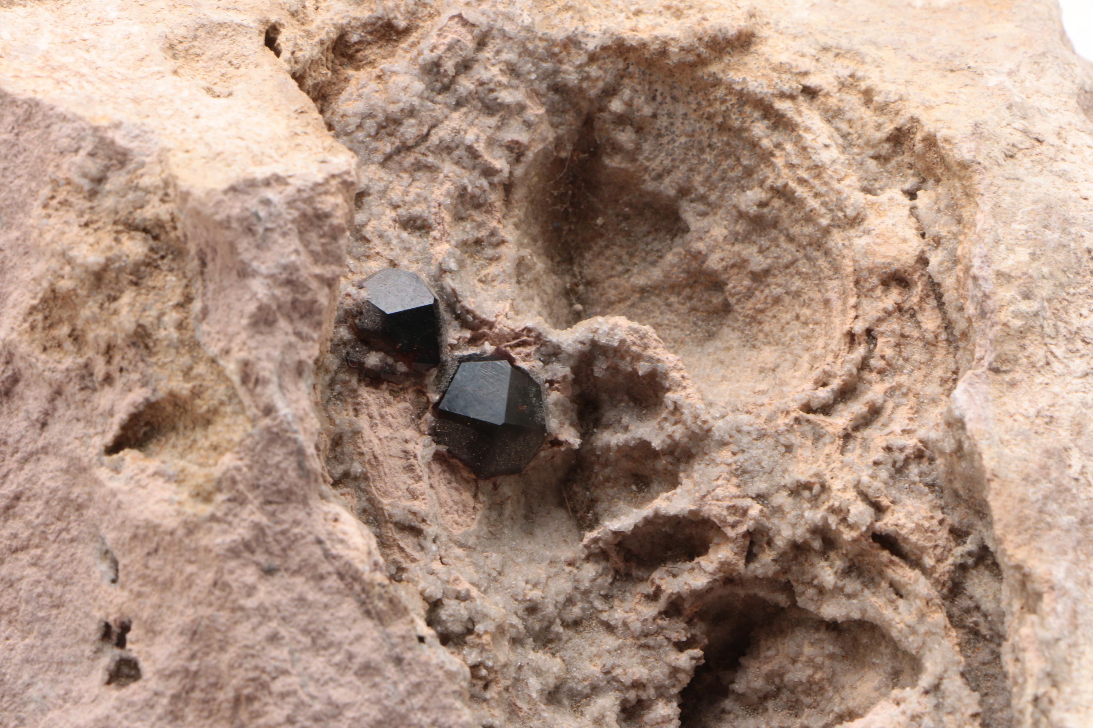 Mineral Specimens Including Petrified Wood, Garnet, Granite, Dyed Agate and More