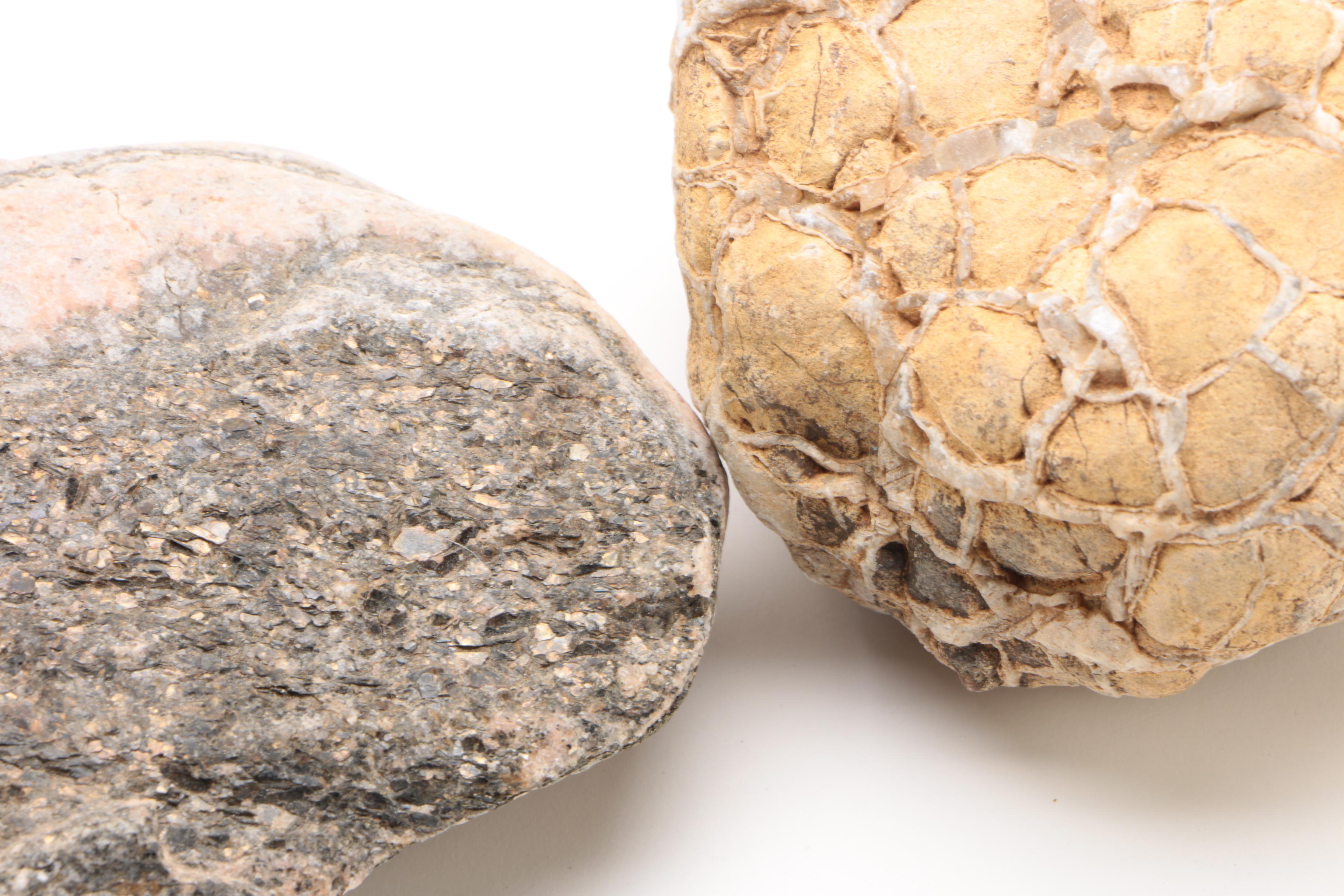 Mineral Specimens Including Petrified Wood, Garnet, Granite, Dyed Agate and More