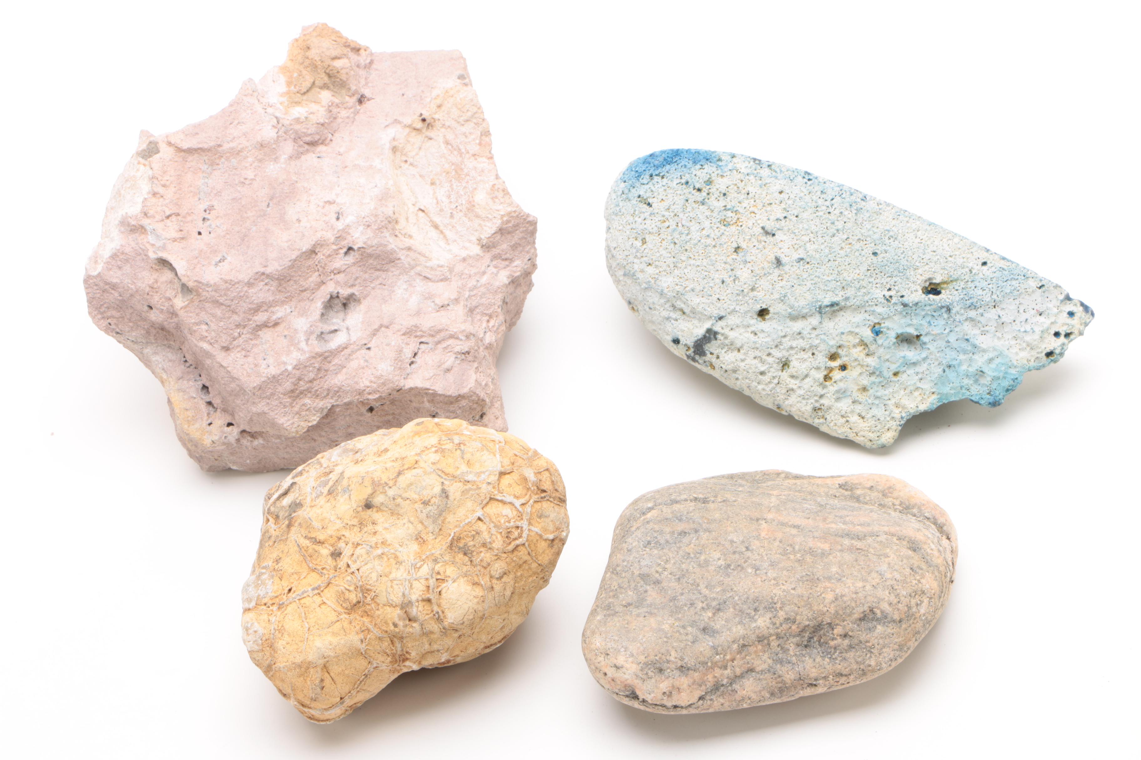 Mineral Specimens Including Petrified Wood, Garnet, Granite, Dyed Agate and More