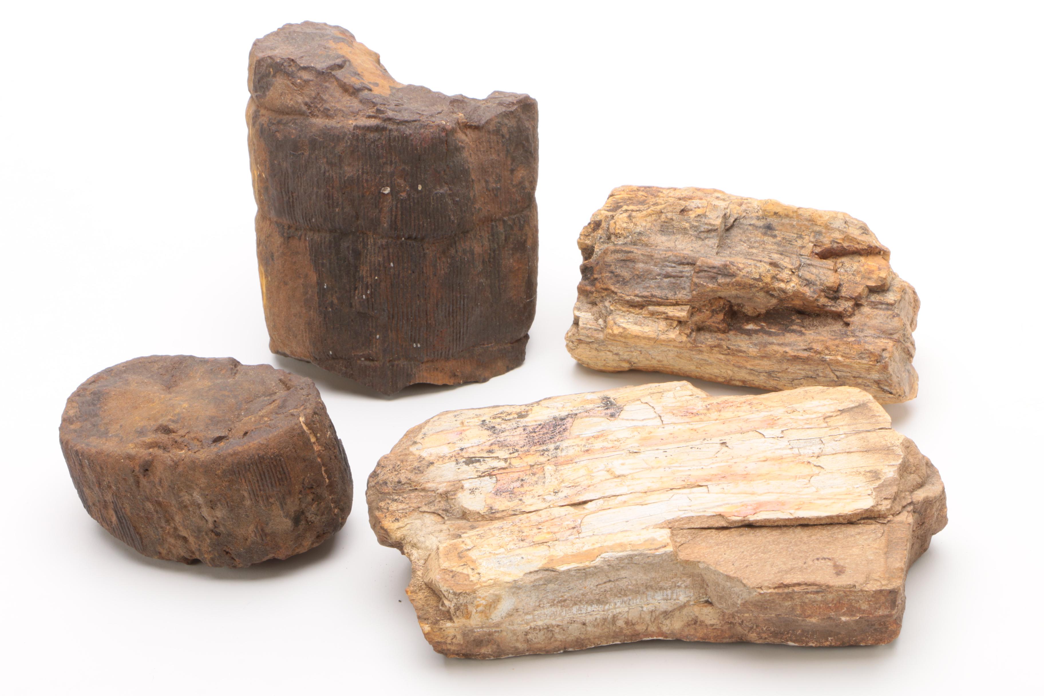 Mineral Specimens Including Petrified Wood, Garnet, Granite, Dyed Agate and More