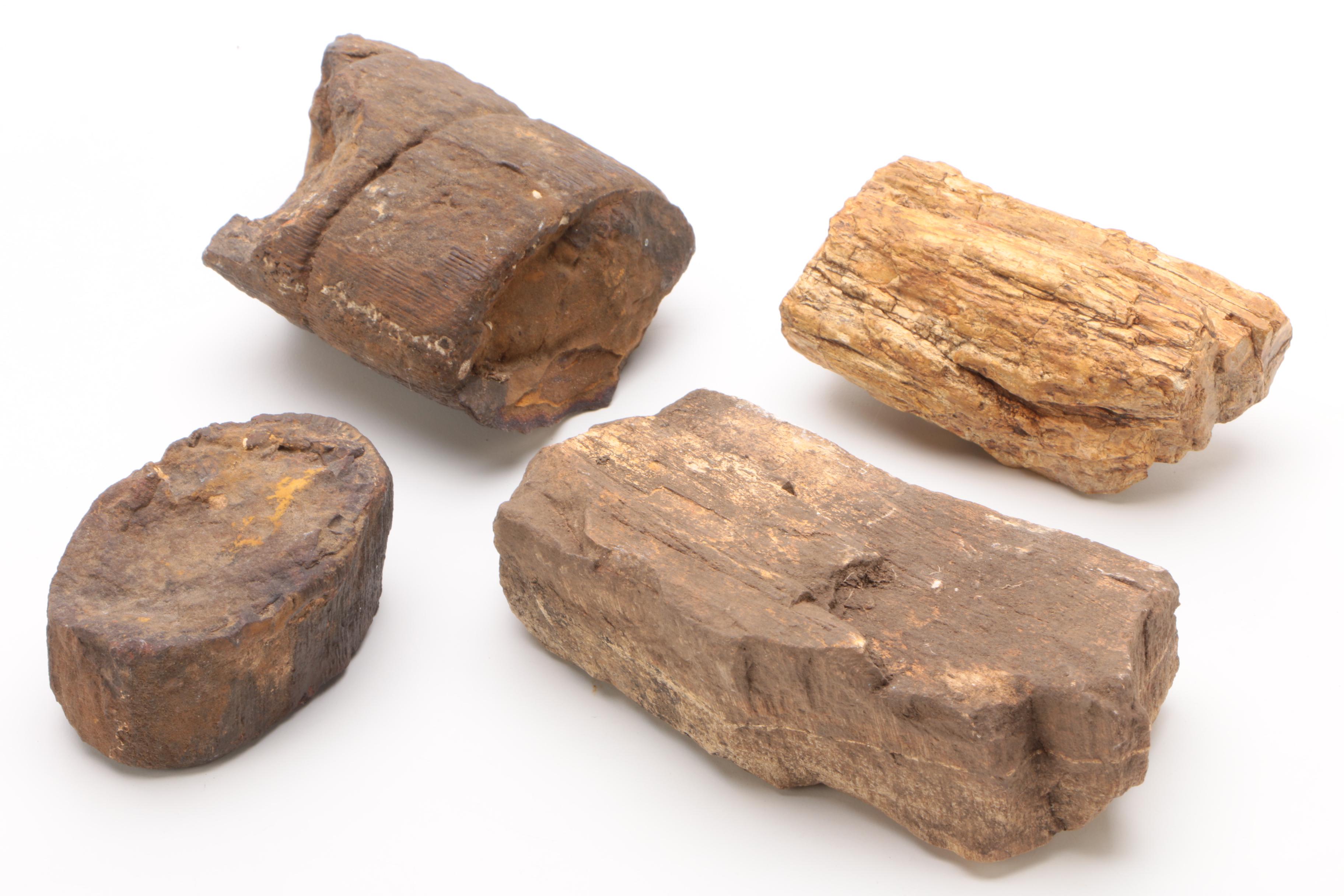 Mineral Specimens Including Petrified Wood, Garnet, Granite, Dyed Agate and More