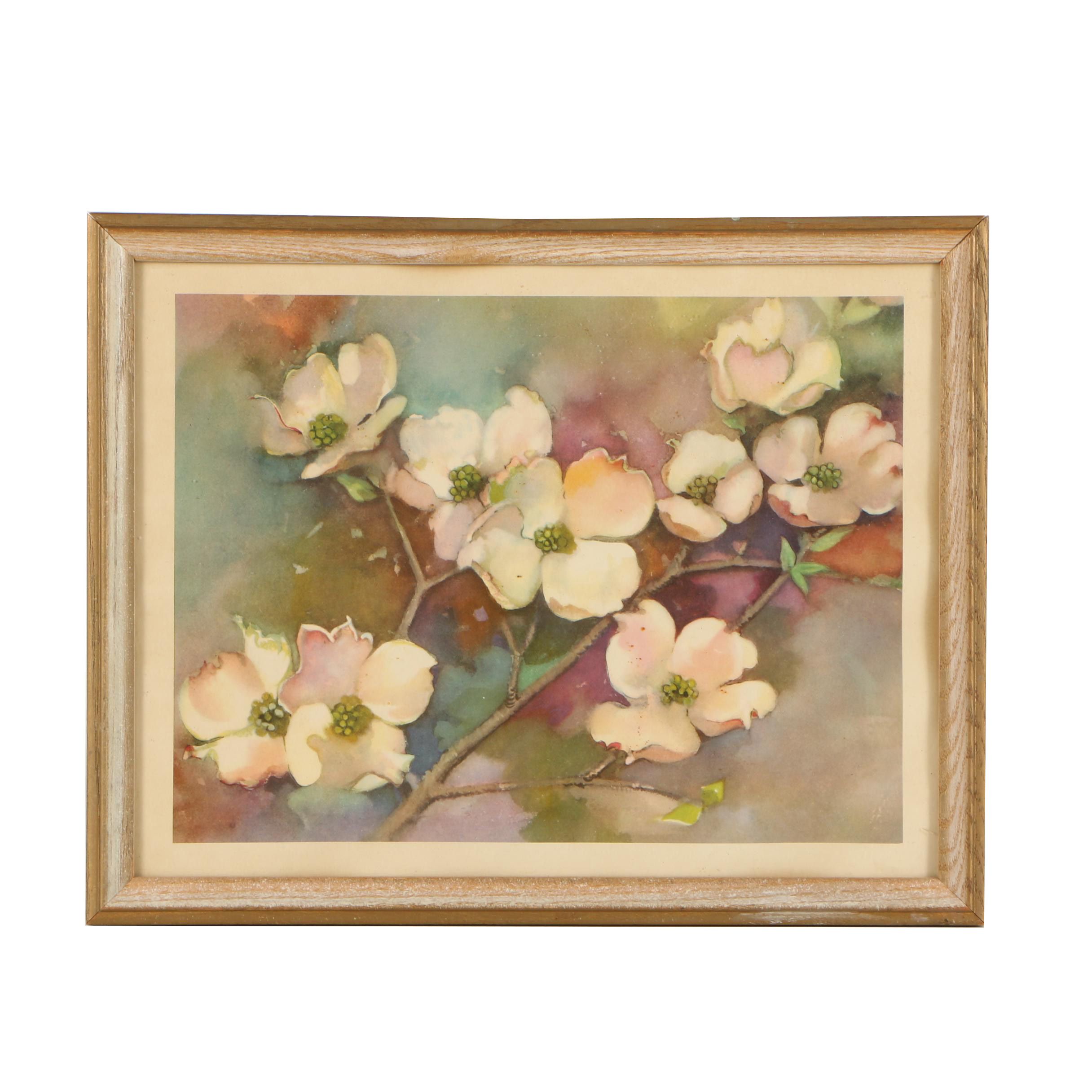 Mid 20th Century Offset Lithograph of Dogwood Flowers