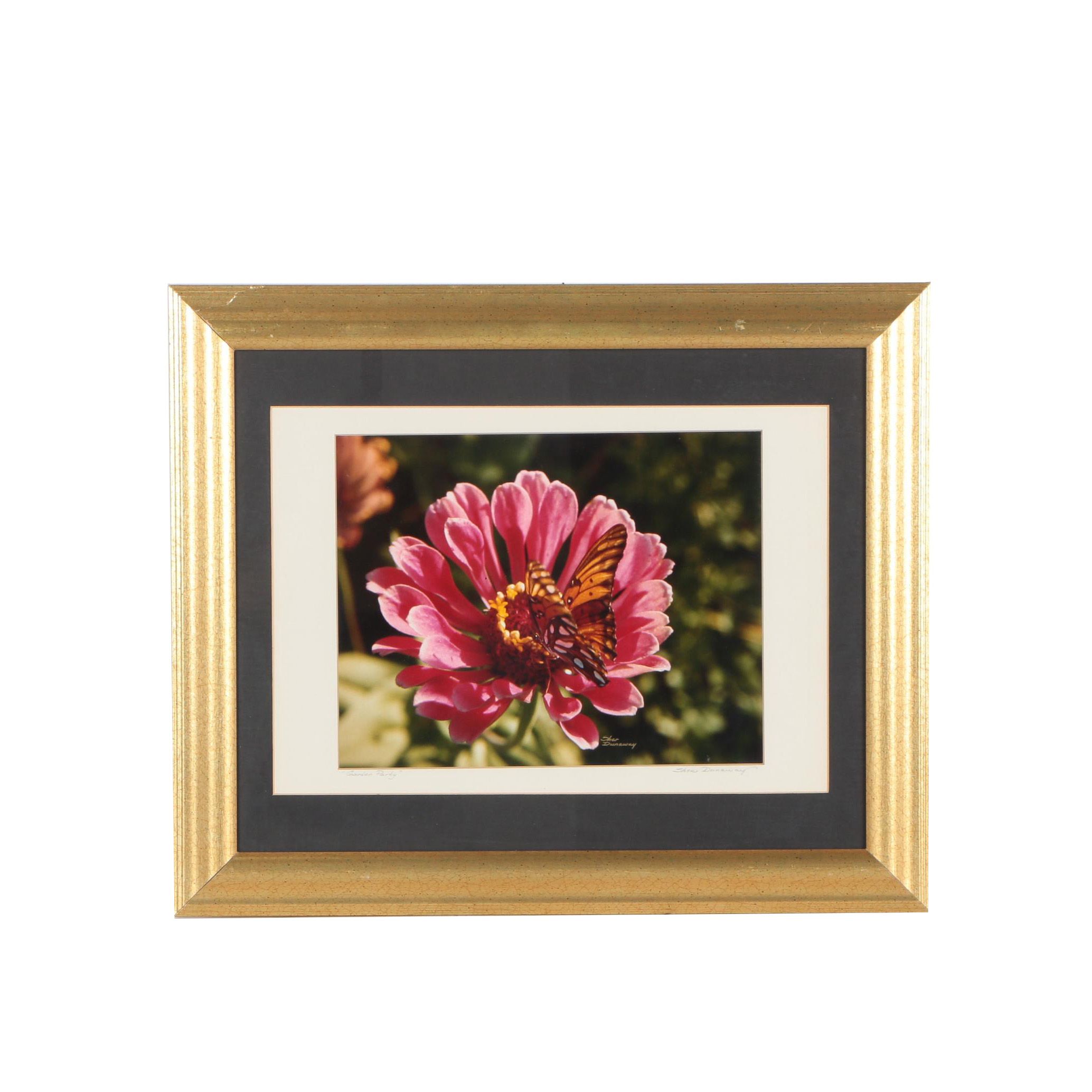 Sher Dunaway Photograph "Garden Party"