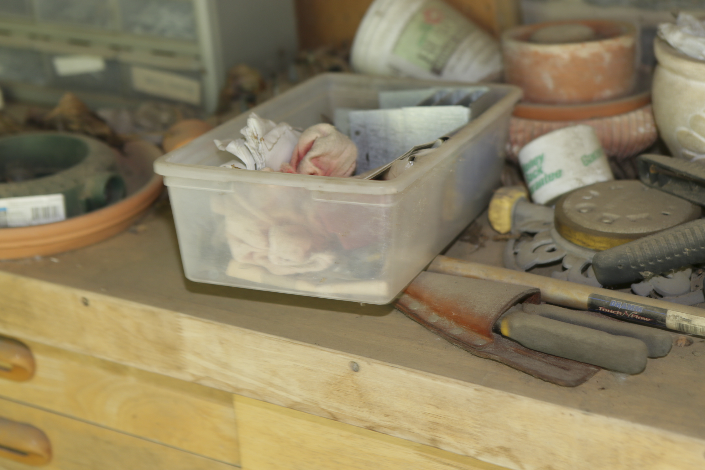 Wooden Workbench, Hand Tools, Hardware and More