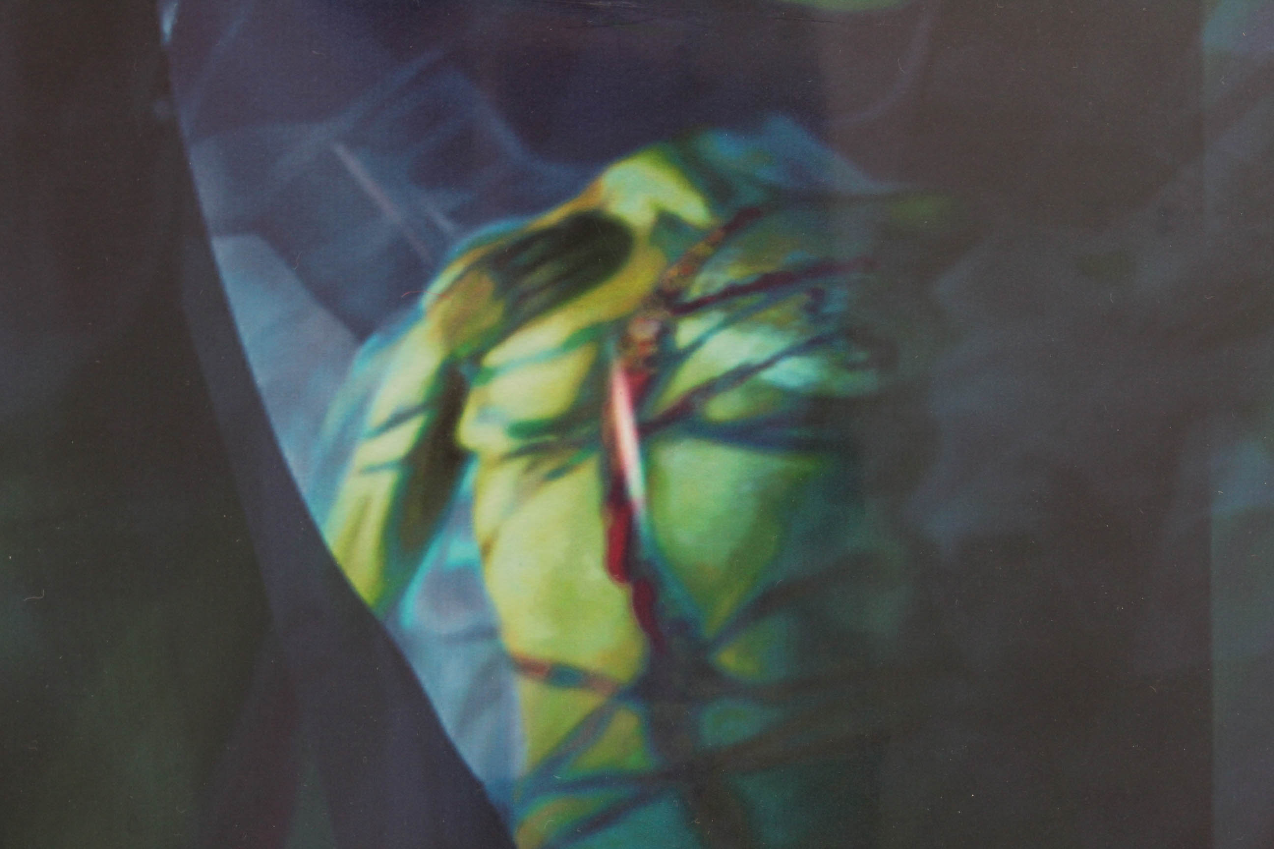 Saul Bernstein Limited Edition Giclée "Duality"