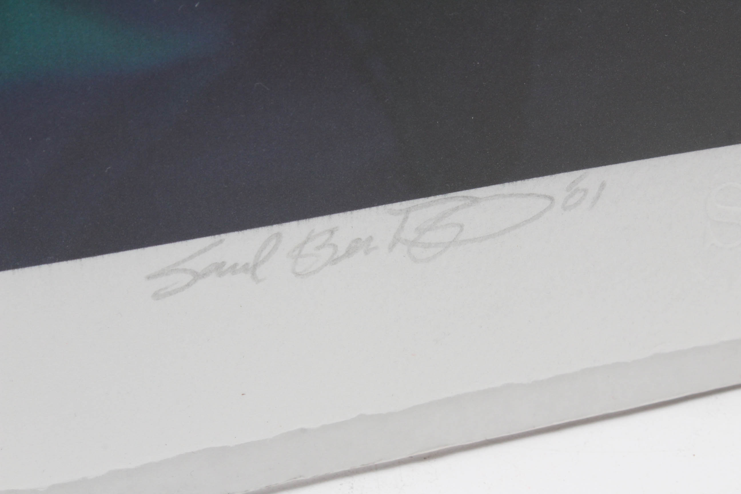 Saul Bernstein Limited Edition Giclée "Duality"